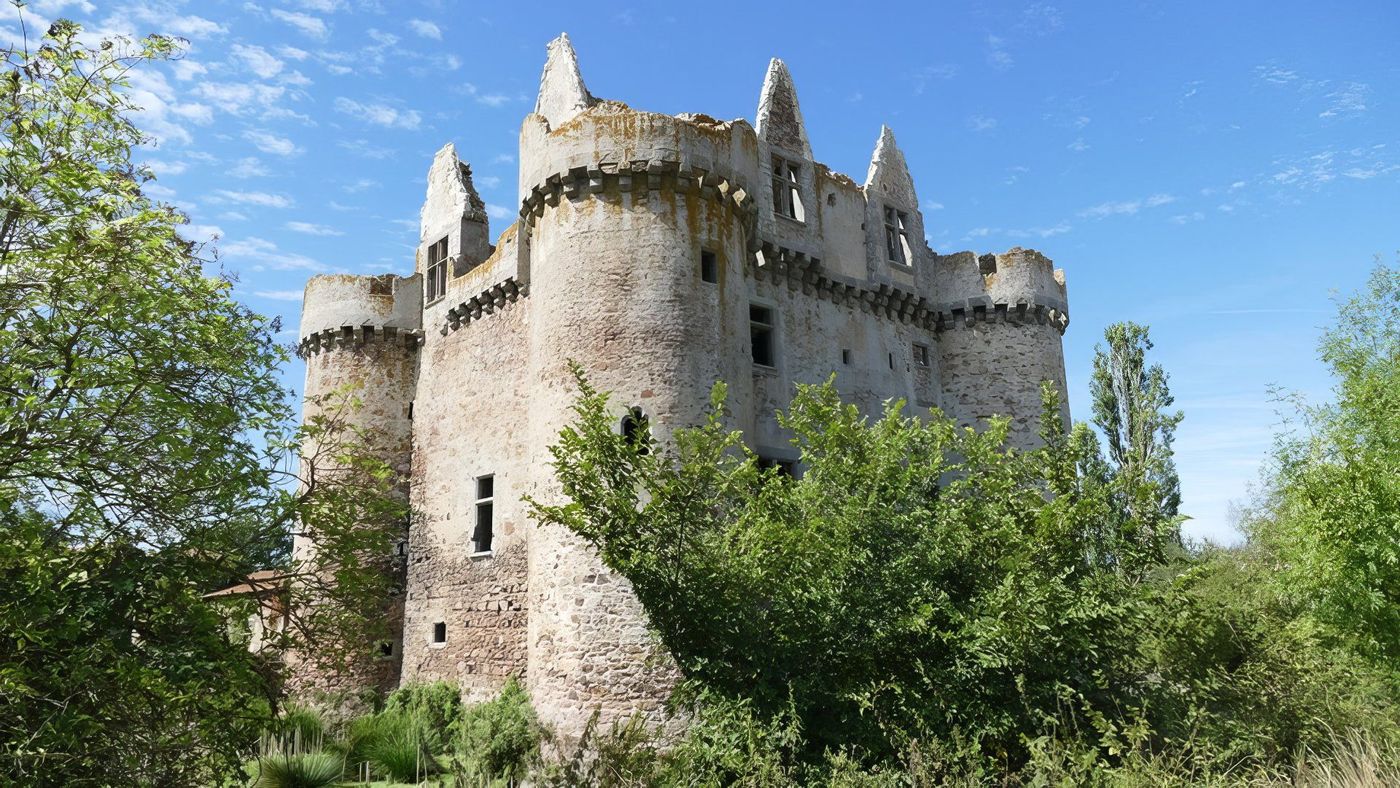 Château Fort de l'Ebaupinay