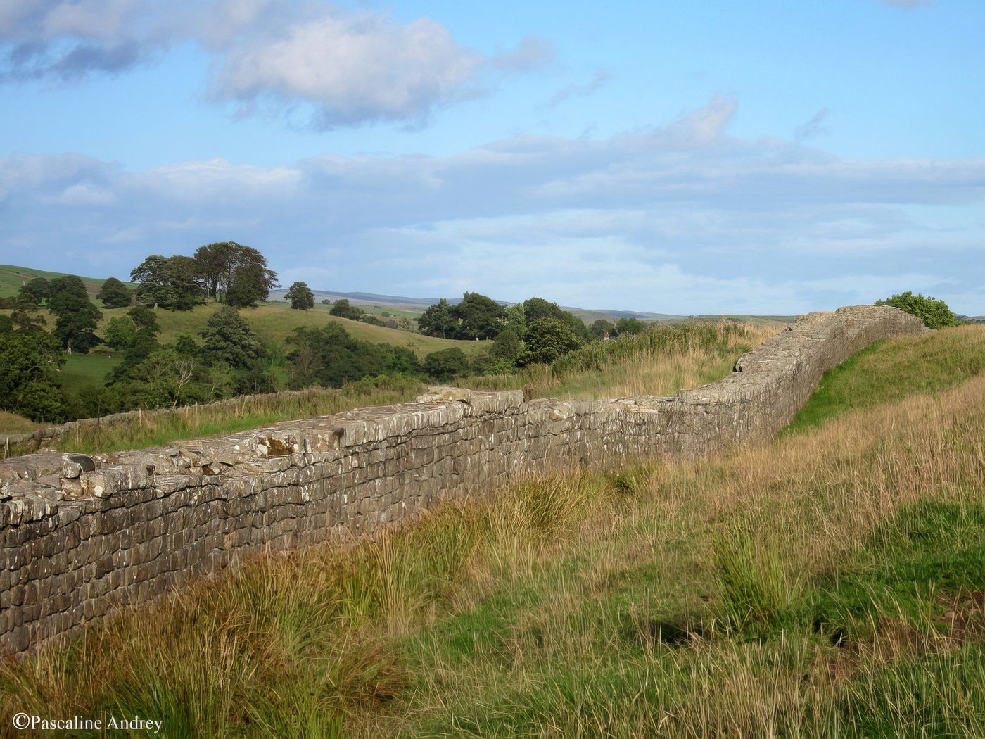 Mur d'Hadrien