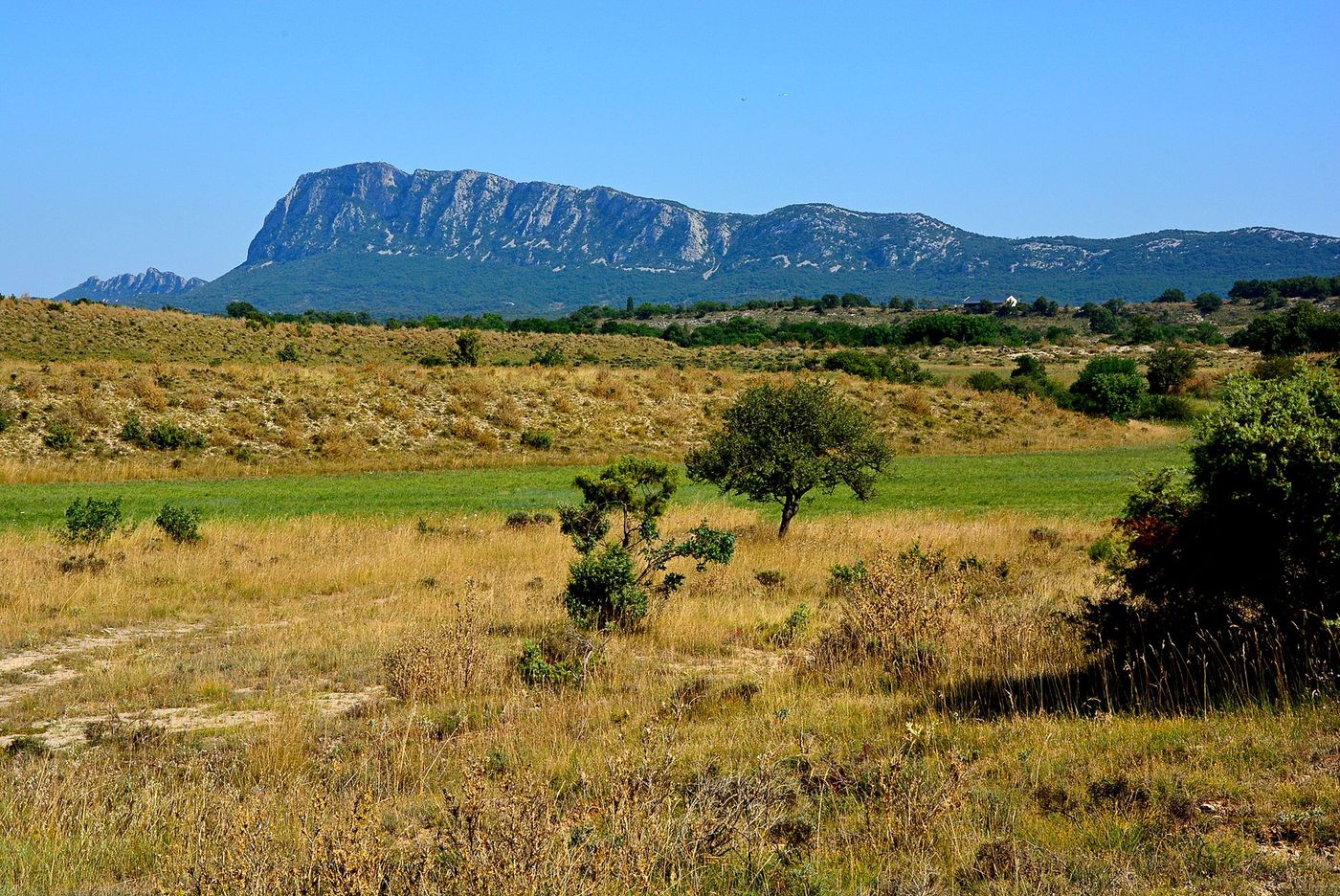 Pic Saint-Loup