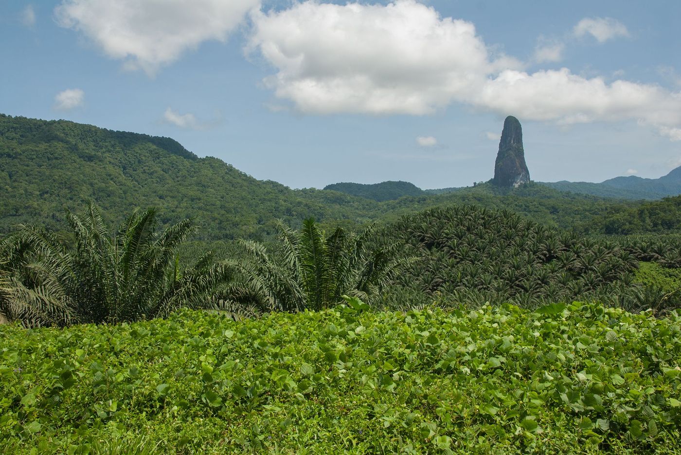 Pico Cão Grande - parc national d’Ôbo