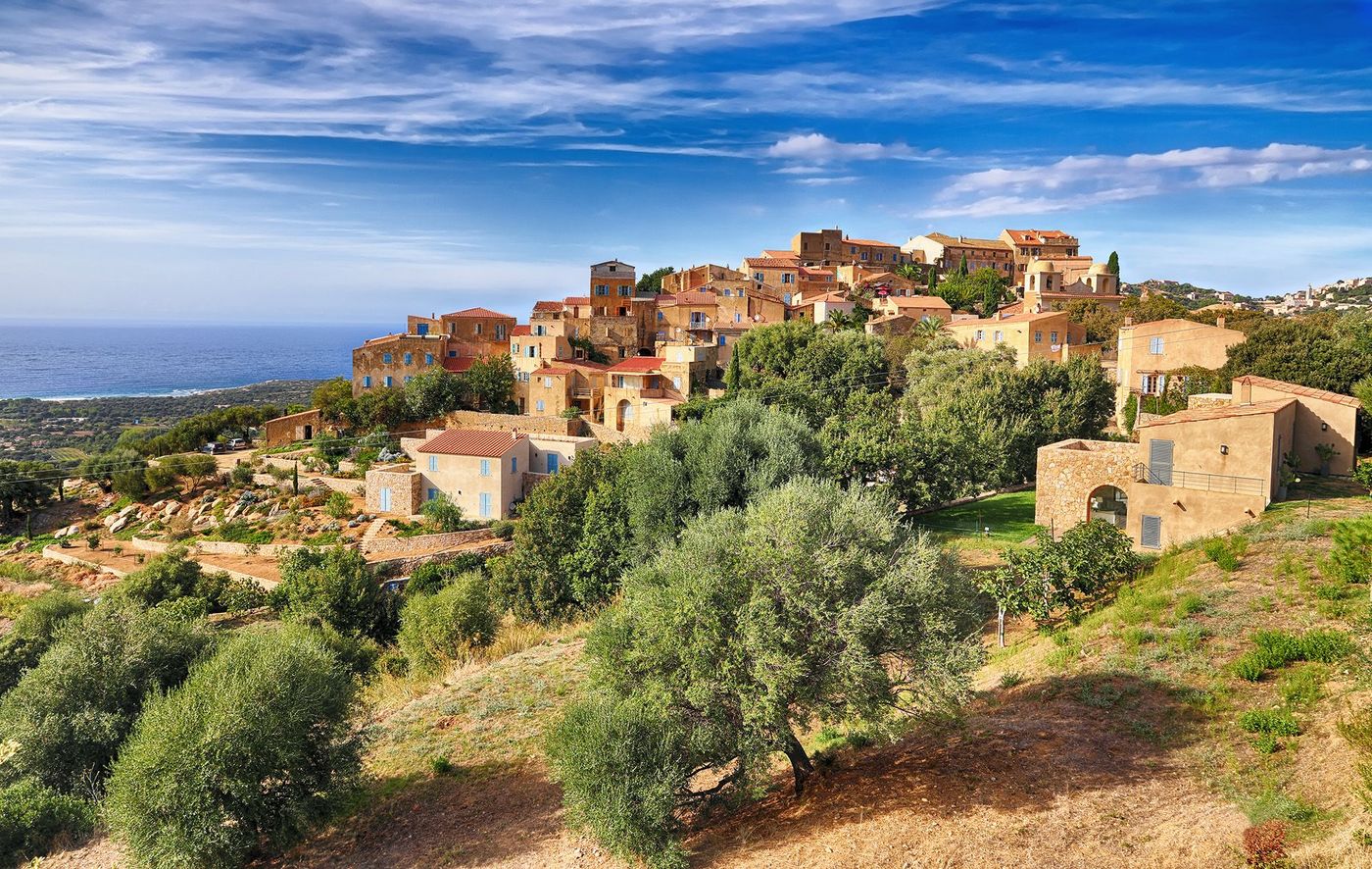 Pigna