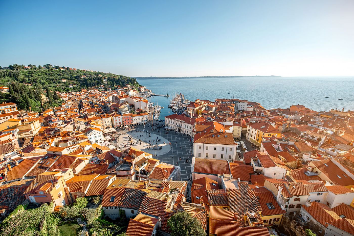 Piran - place Tartini