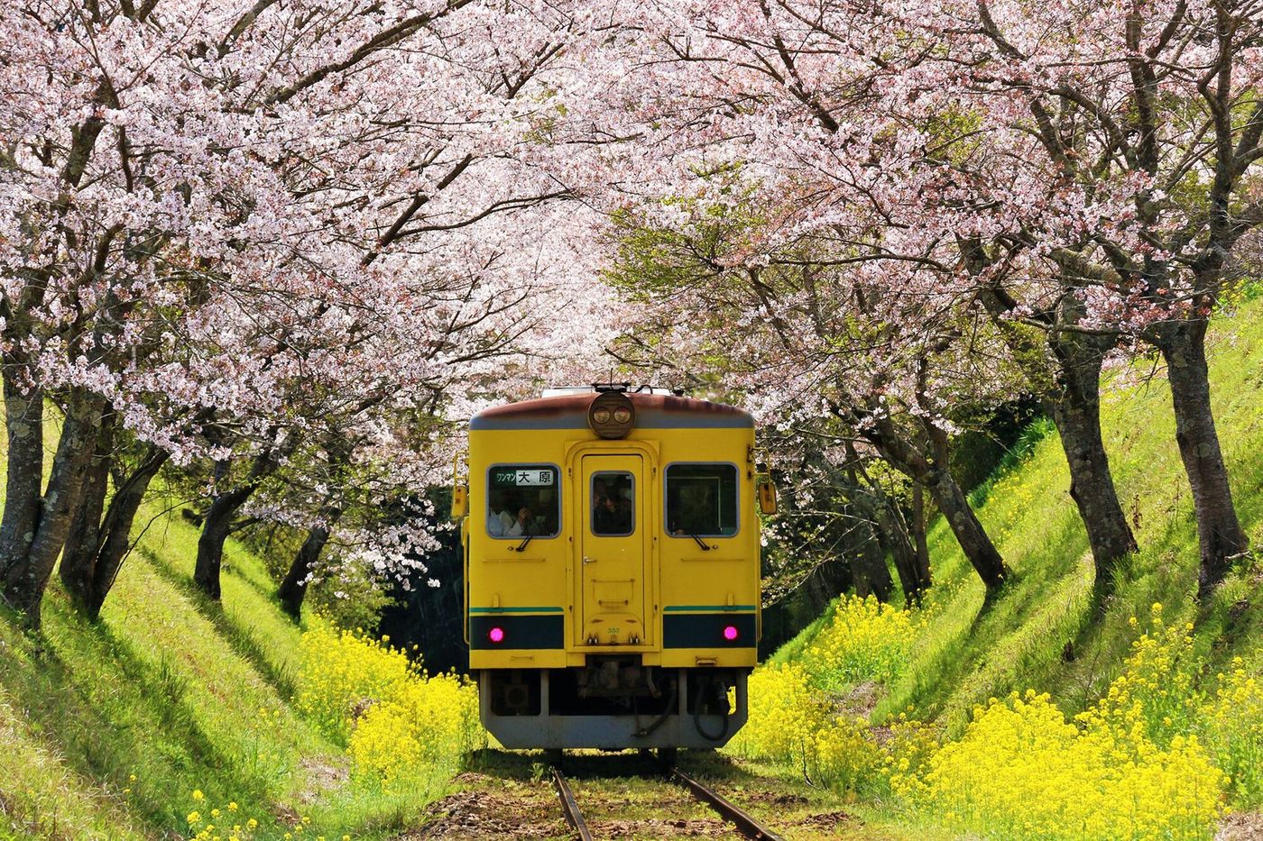 Isumi Railway