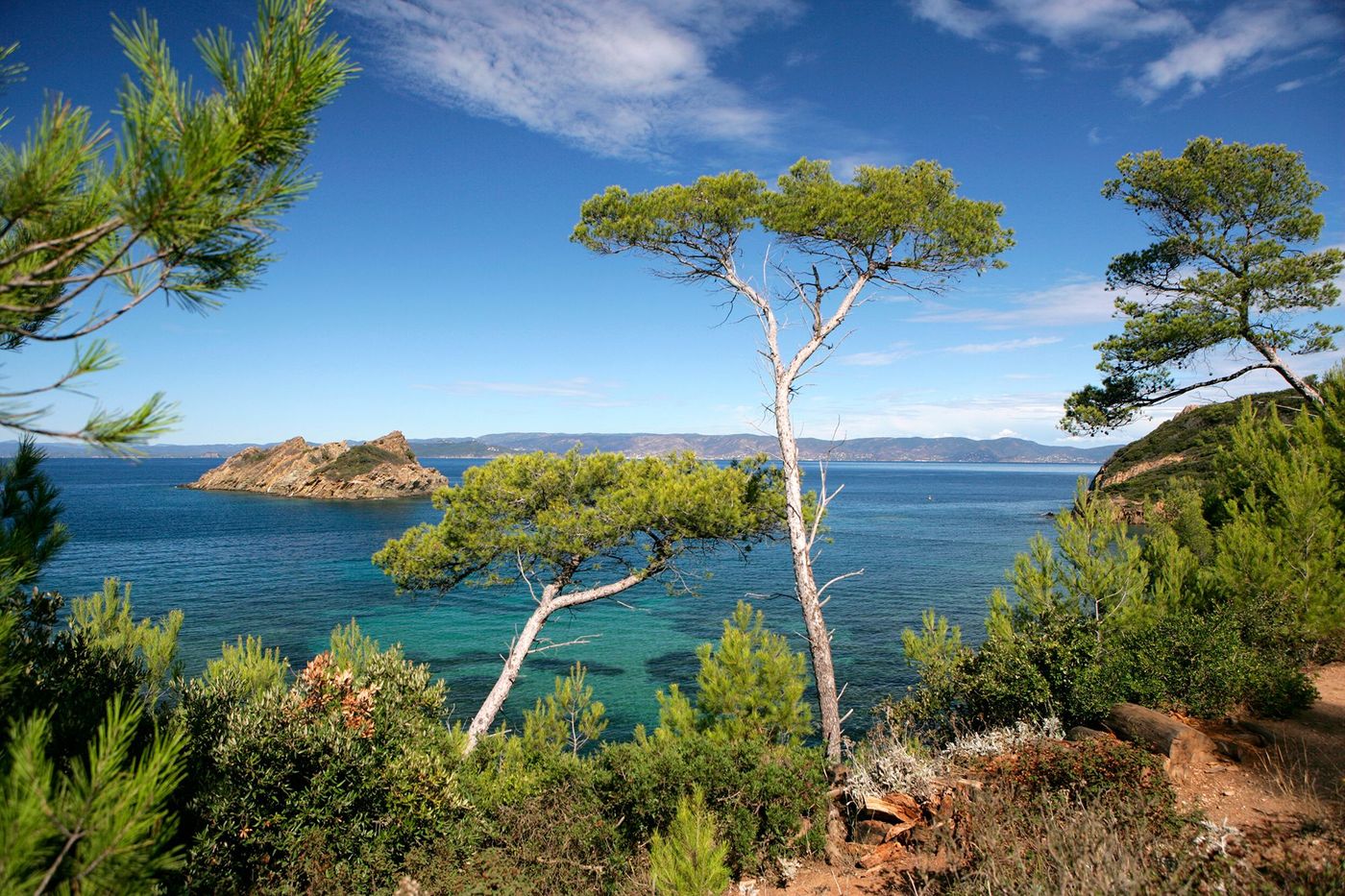 PINS MARITIMES, PLAGE DE LA PALUD, ROCHER DU RASCAS, PORT-CROS