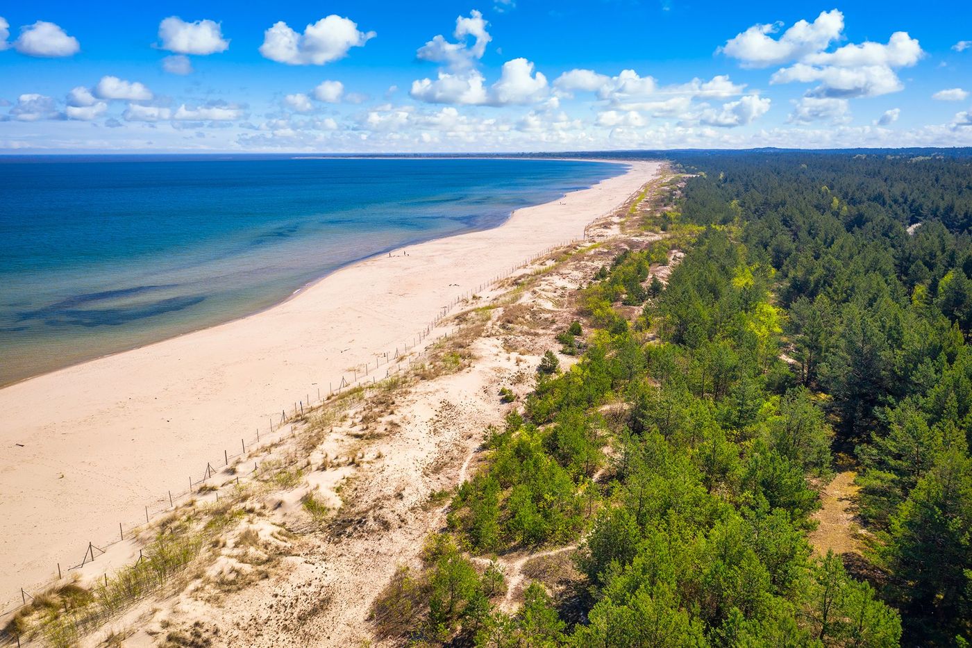 Plage de Sobieszewo