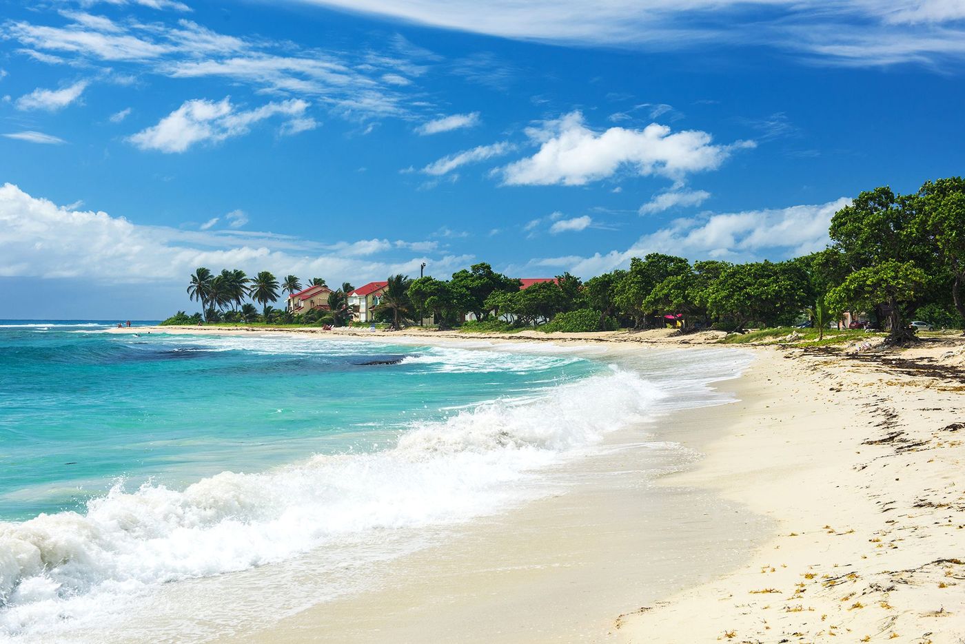 Plage des Raisins Clairs - Saint-François