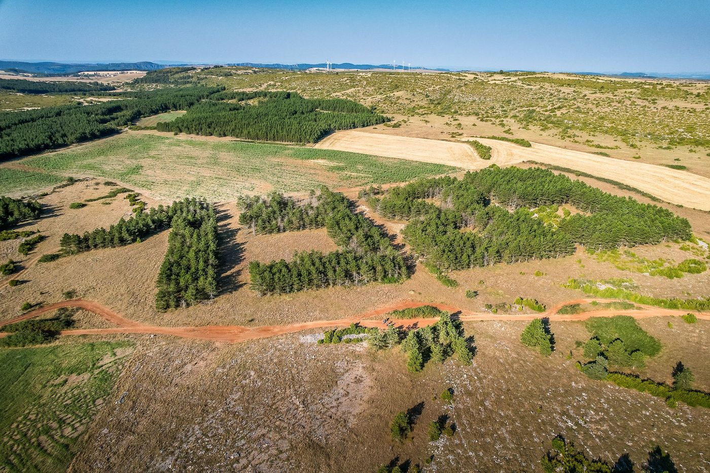 Plantation du Bicentenaire de la Révolution française