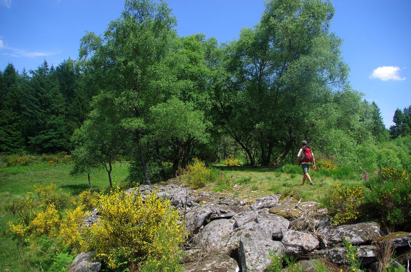 Plateau de Millevaches