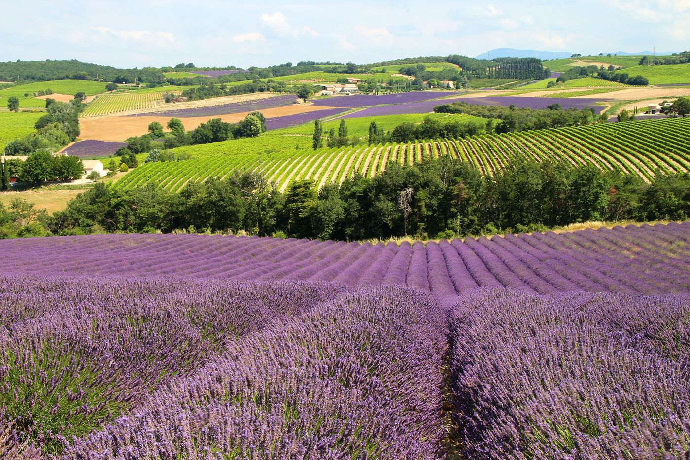 Plateau de Vinsobres