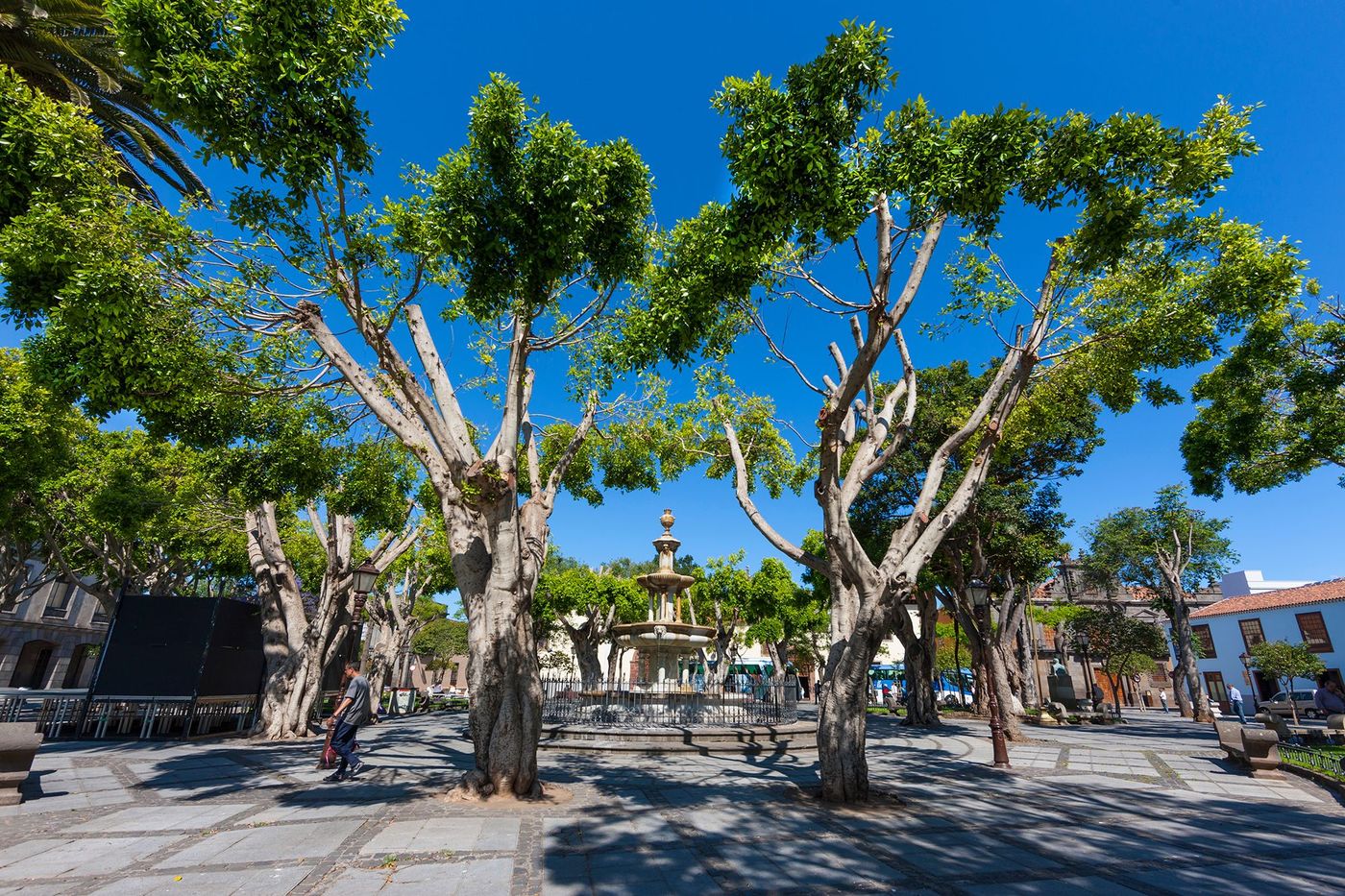 Plaza Adelantado - Tenerife