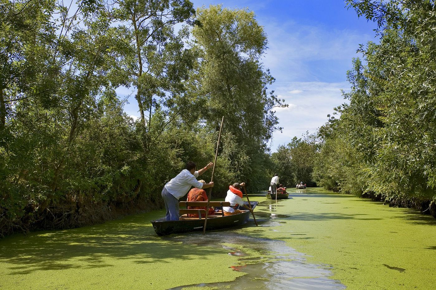 Poitou Marais Barque