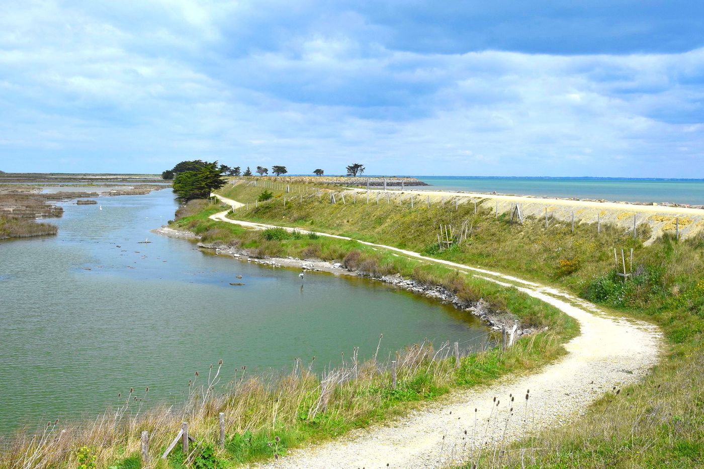 Polder de Sébastopol - Noirmoutier