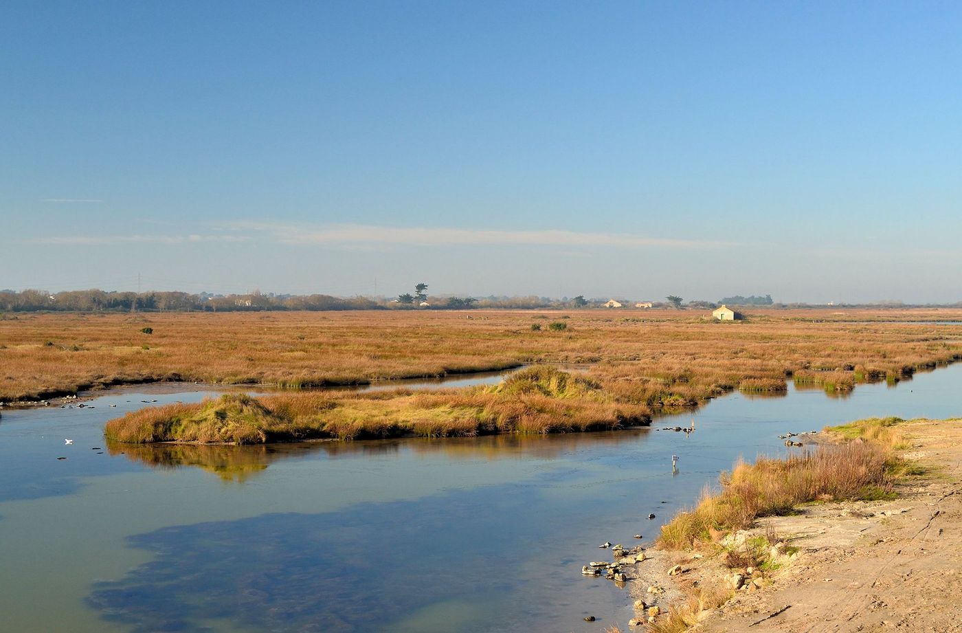 Polder de Sébastopol - Noirmoutier