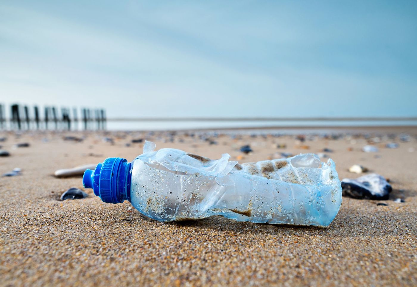 Pollution Plage Mer