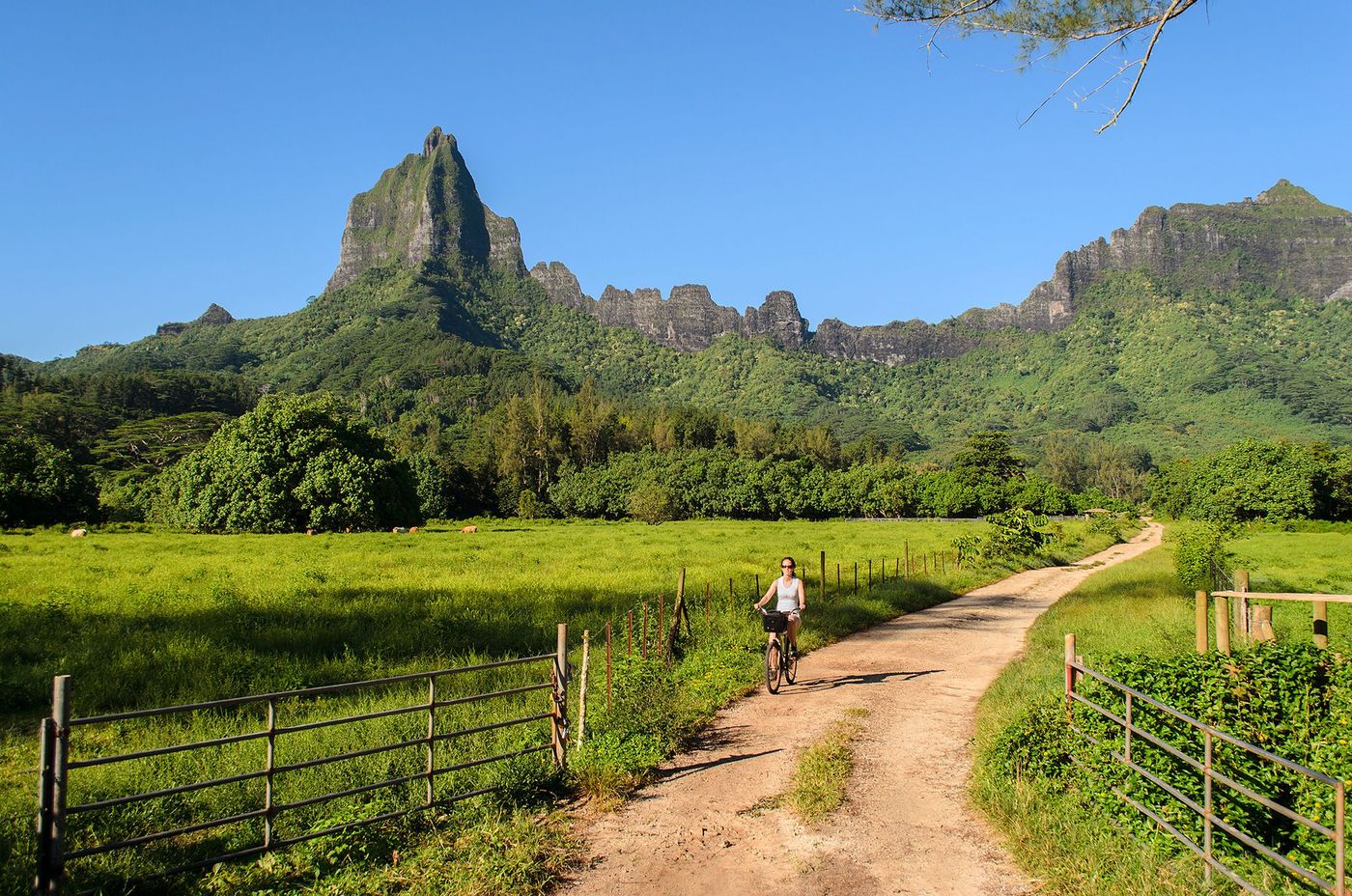 Polynésie Moorea