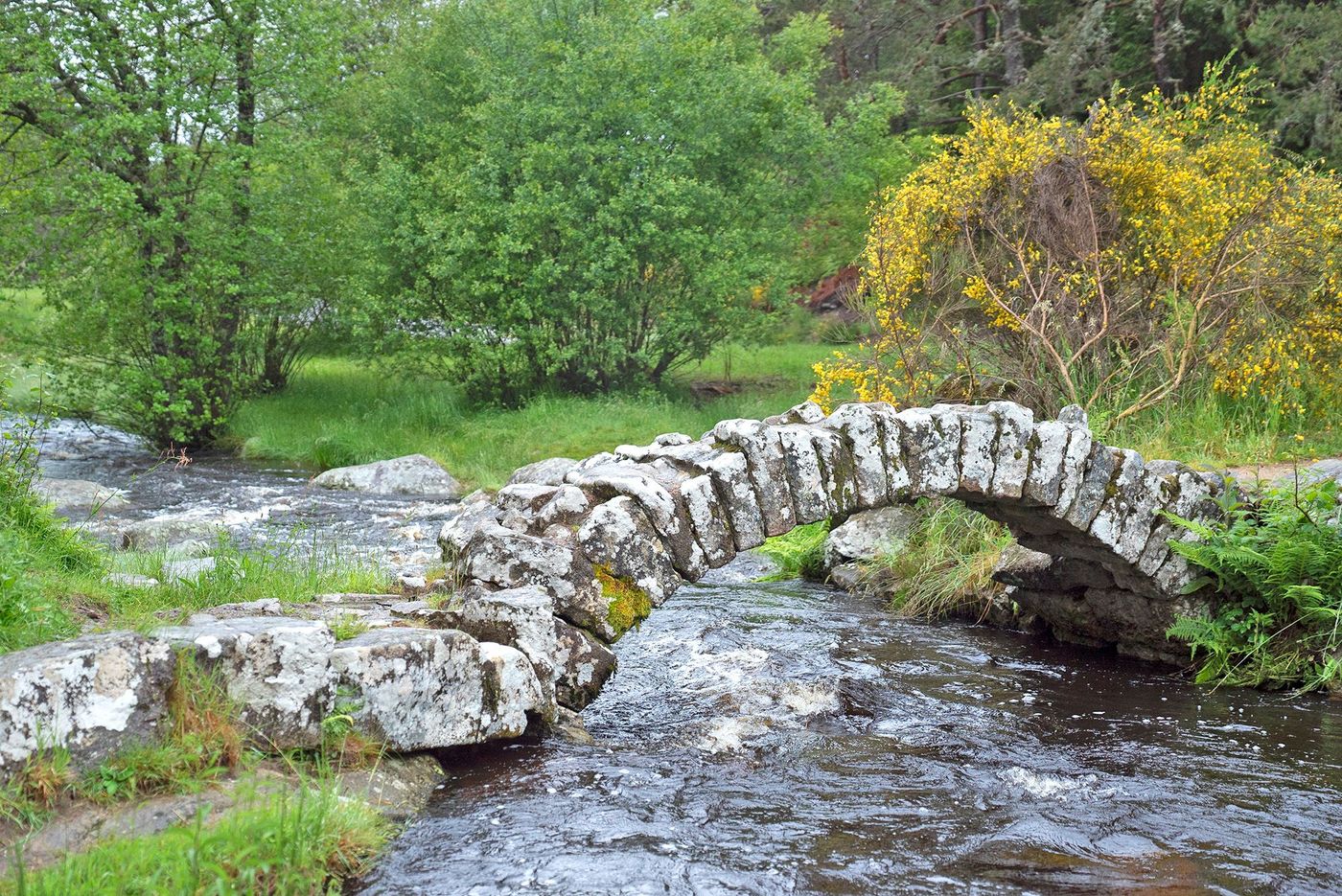 Pont de Sénoueix