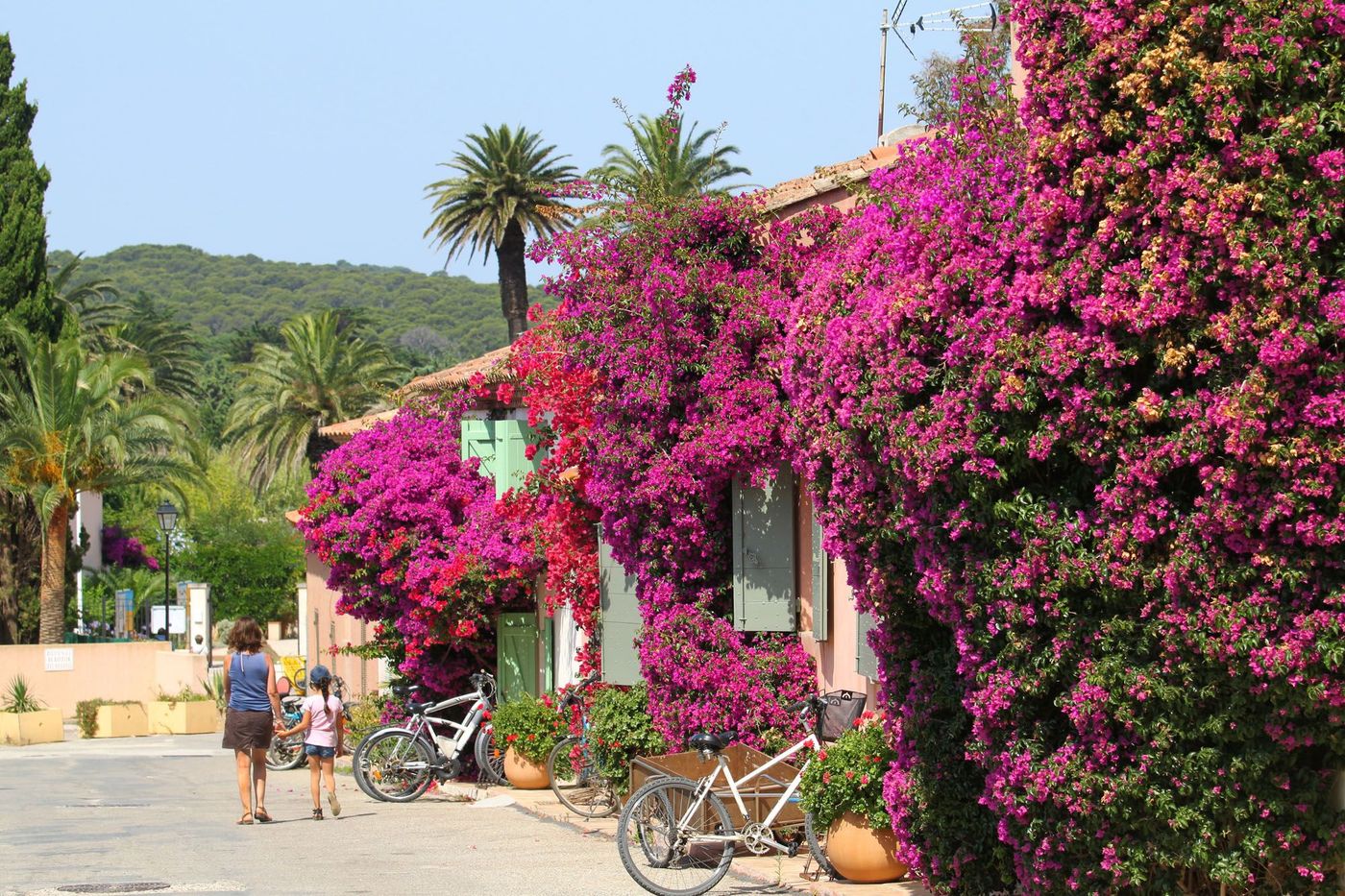 Porquerolles Ile Var