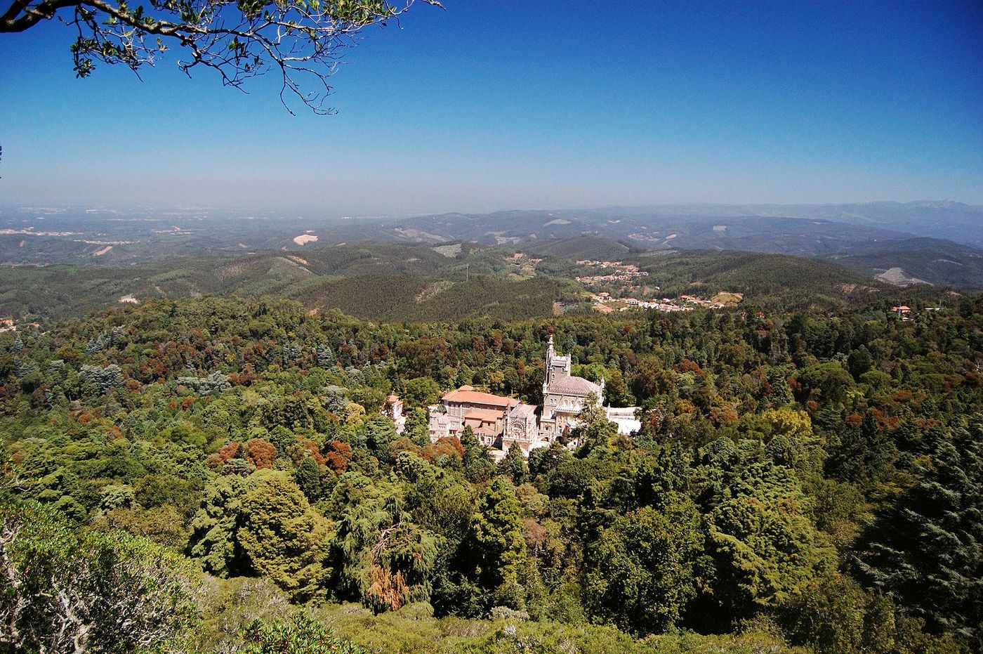 Portugal Forêt de Buçaco