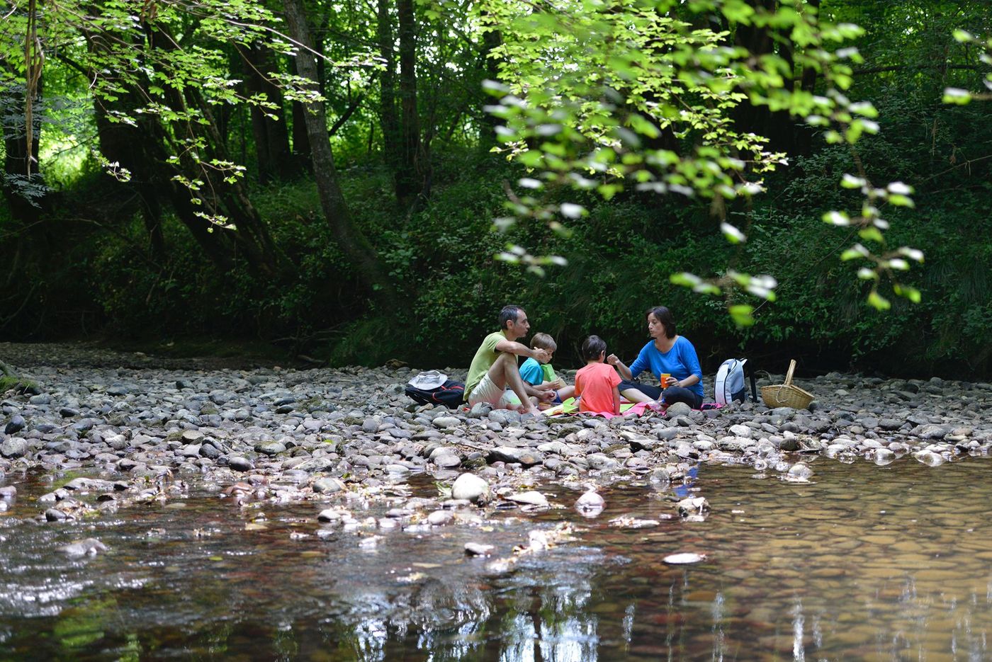 Pottok en famille