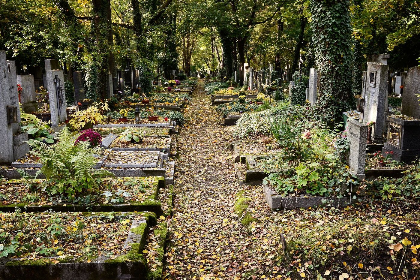 Prague Cimetière Olsany