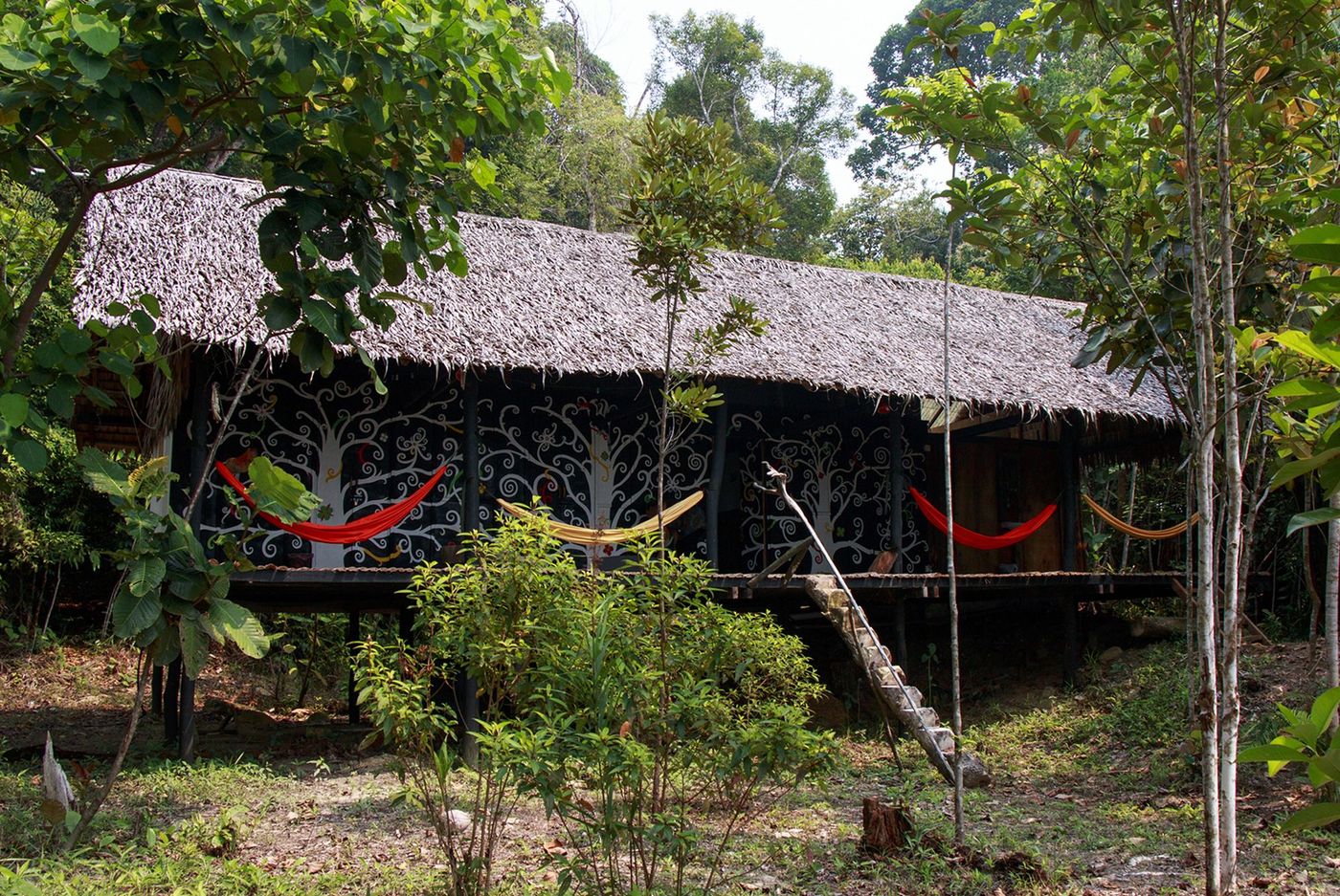 Malaisie Bornéo Sarawak Nanga Shanti