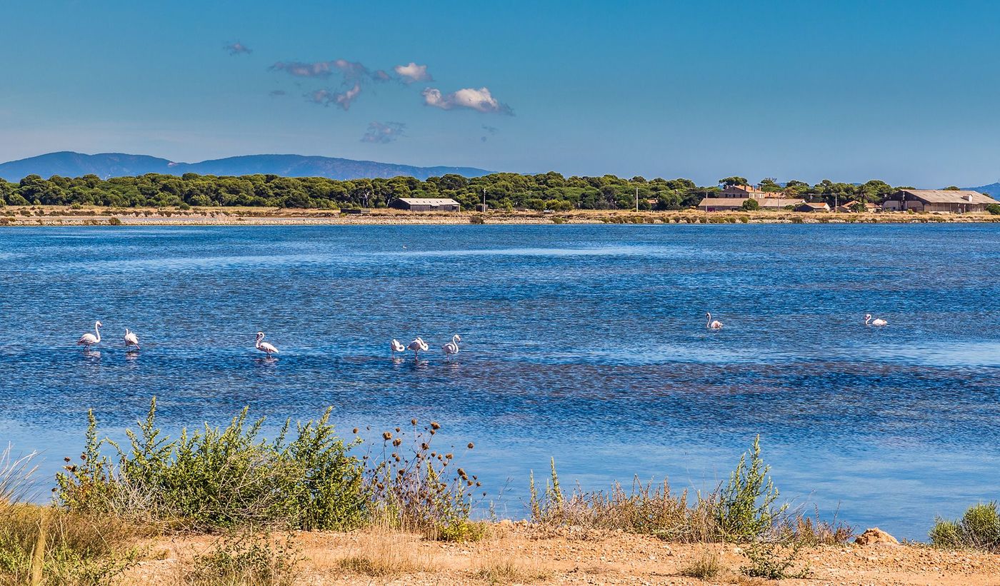 Var Presqu'île de Giens