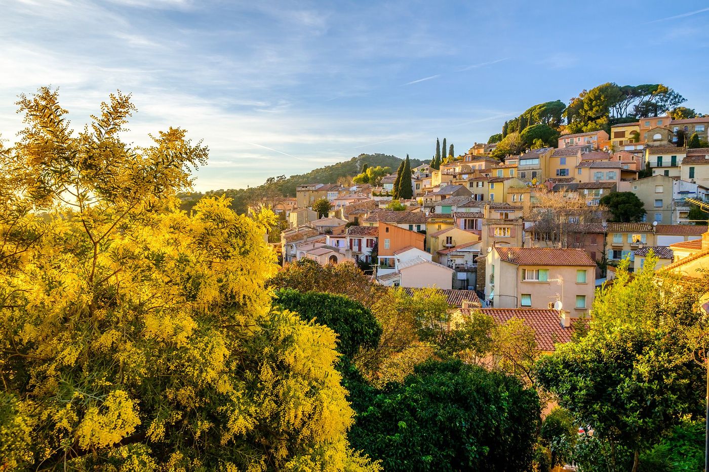 Provence Bormes-les-Mimosas
