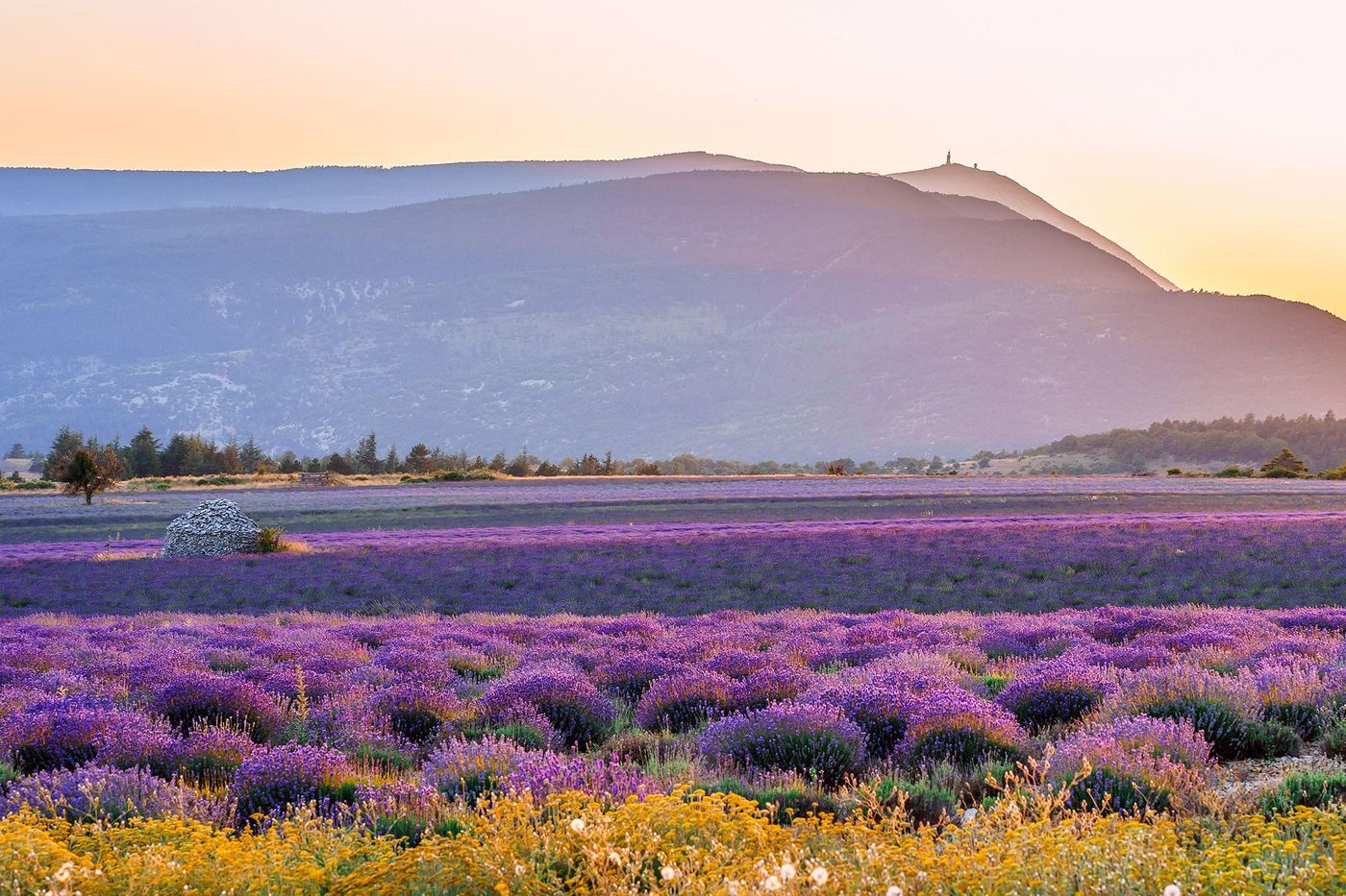 Provence Le Mont Ventoux depuis Férrassières