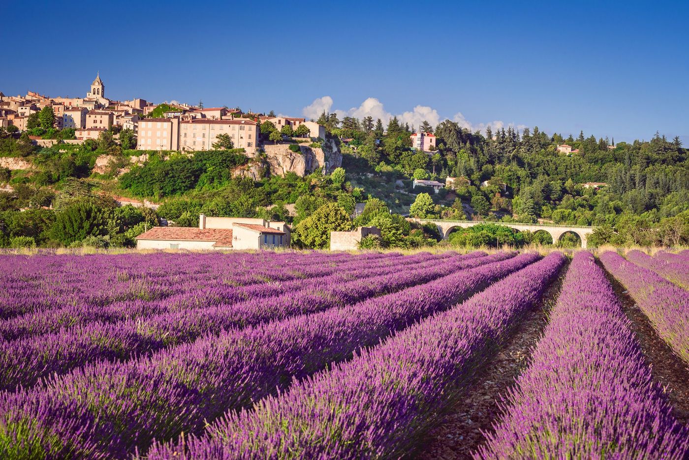 Provence Sault