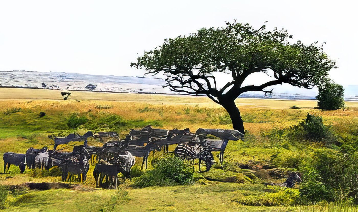 Réserve nationale de Massaï-Mara