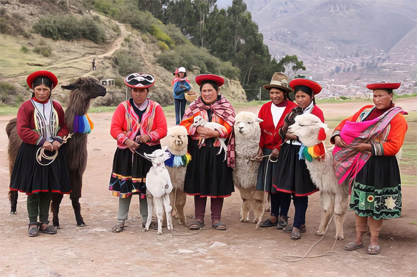 Péruviennes avec leurs lamas et alpagas