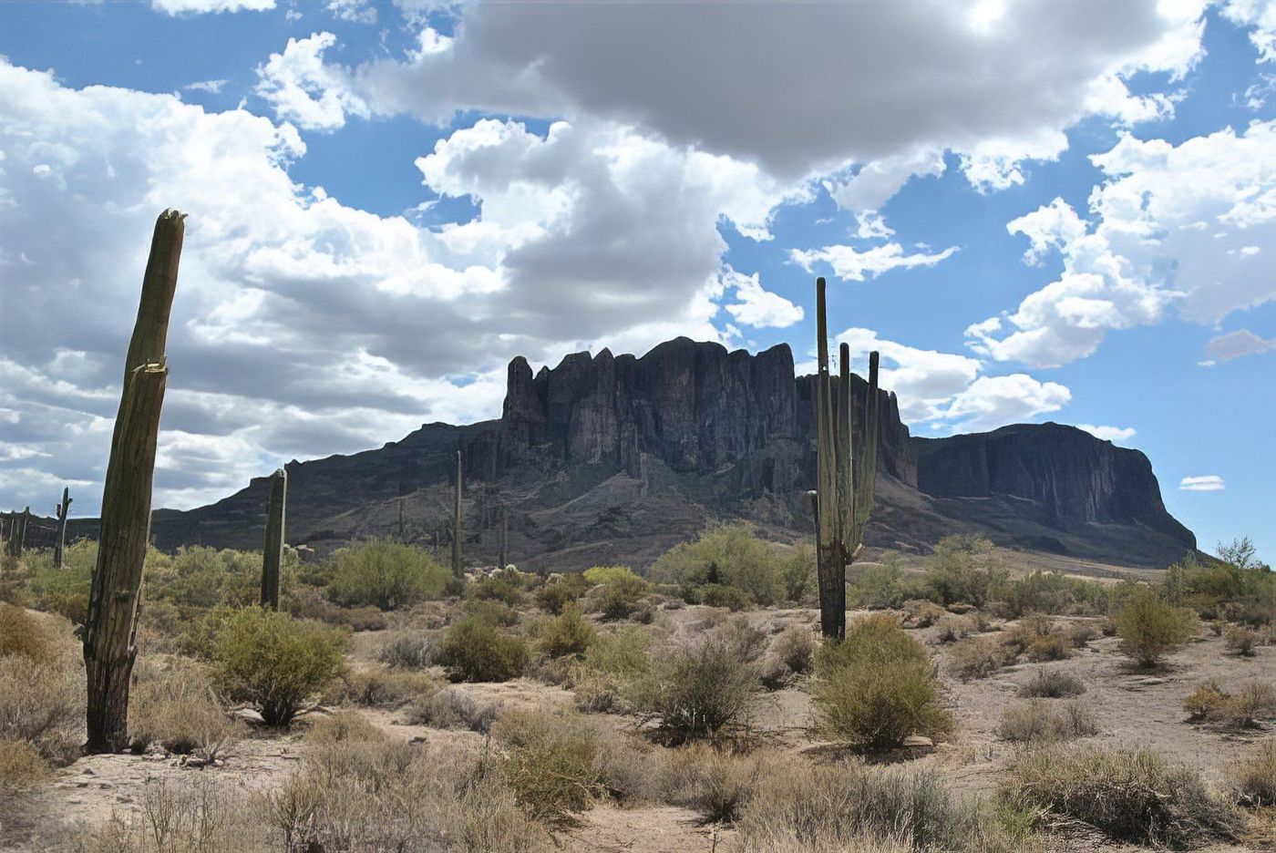 Saguaros au pied des Superstition Mountains