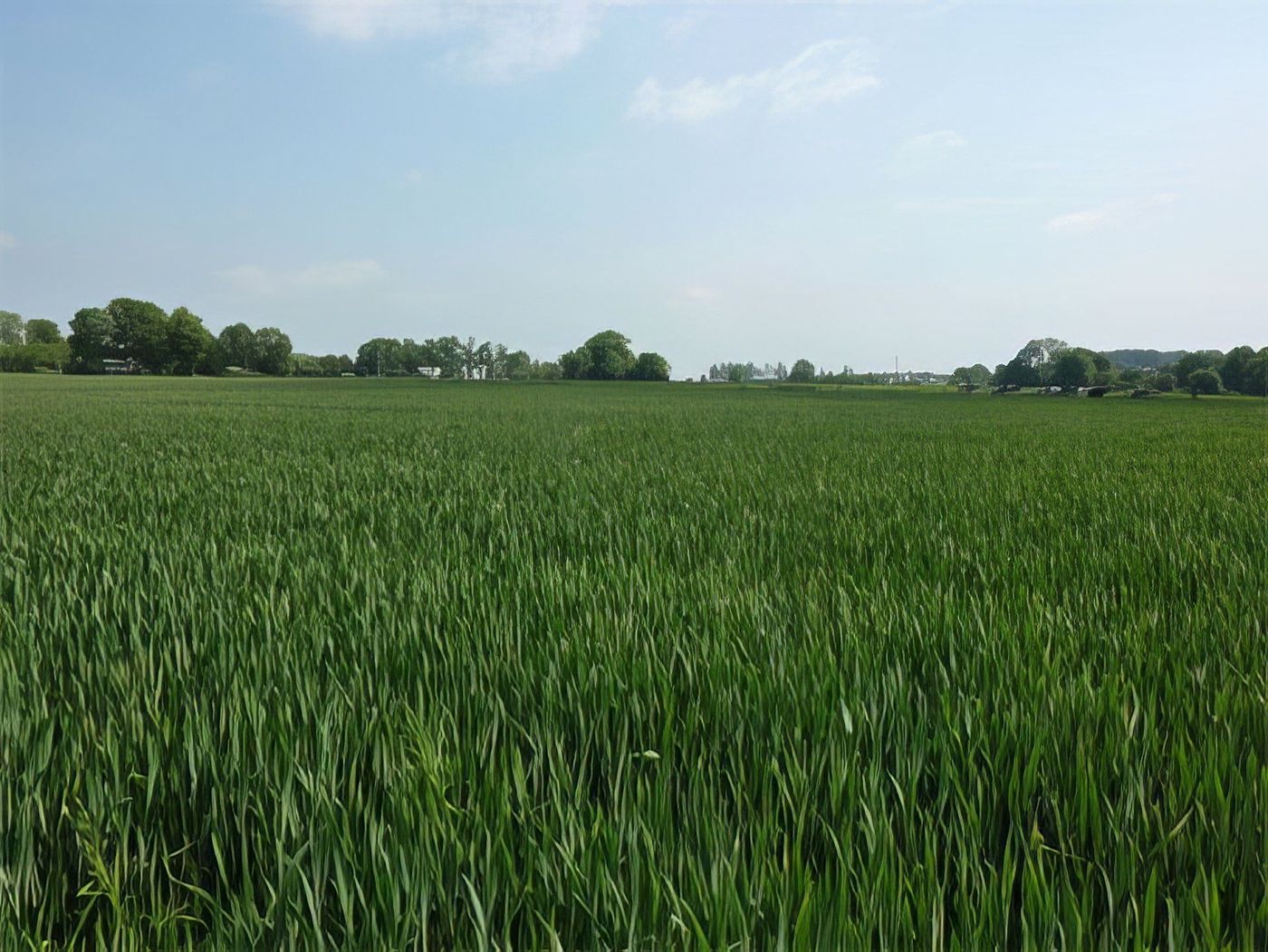 Campagne normande