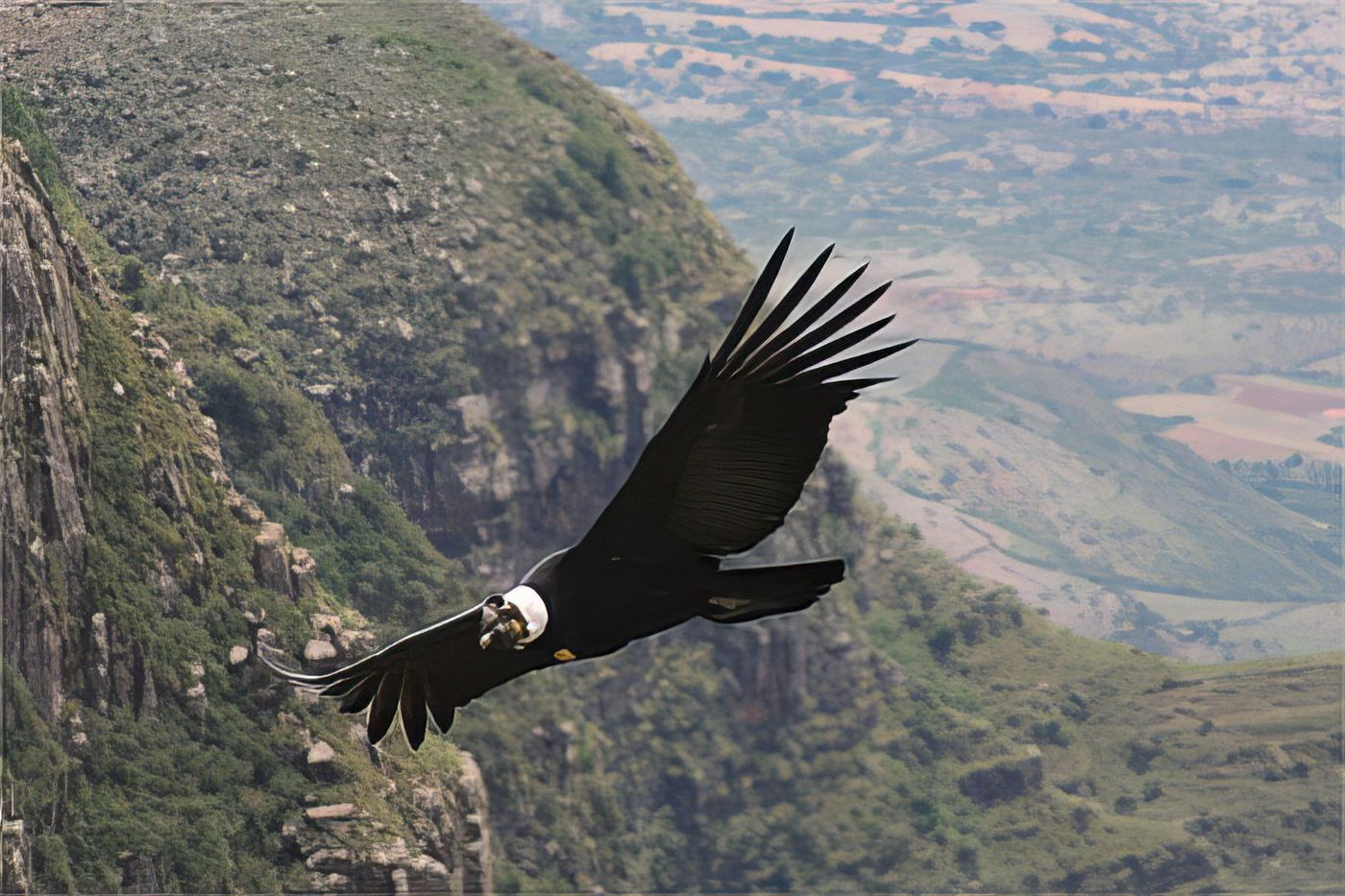 Bon plan tourisme solidaire peu connu dans la magnifique vallée des condors Tarija Bolivie
