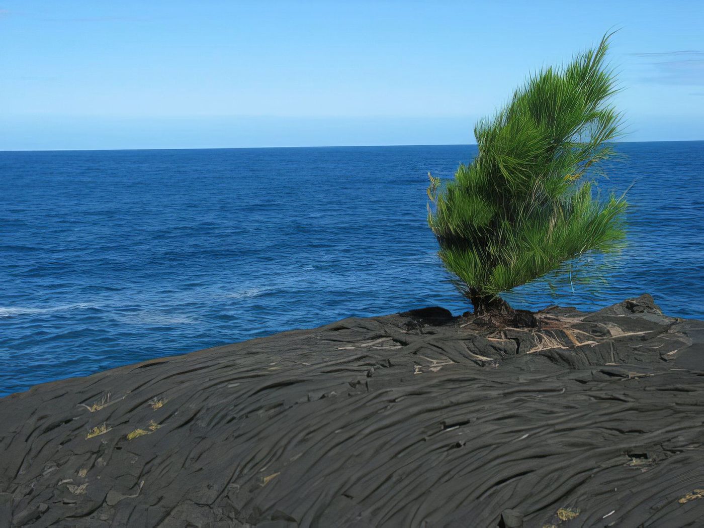 jardin du volcan