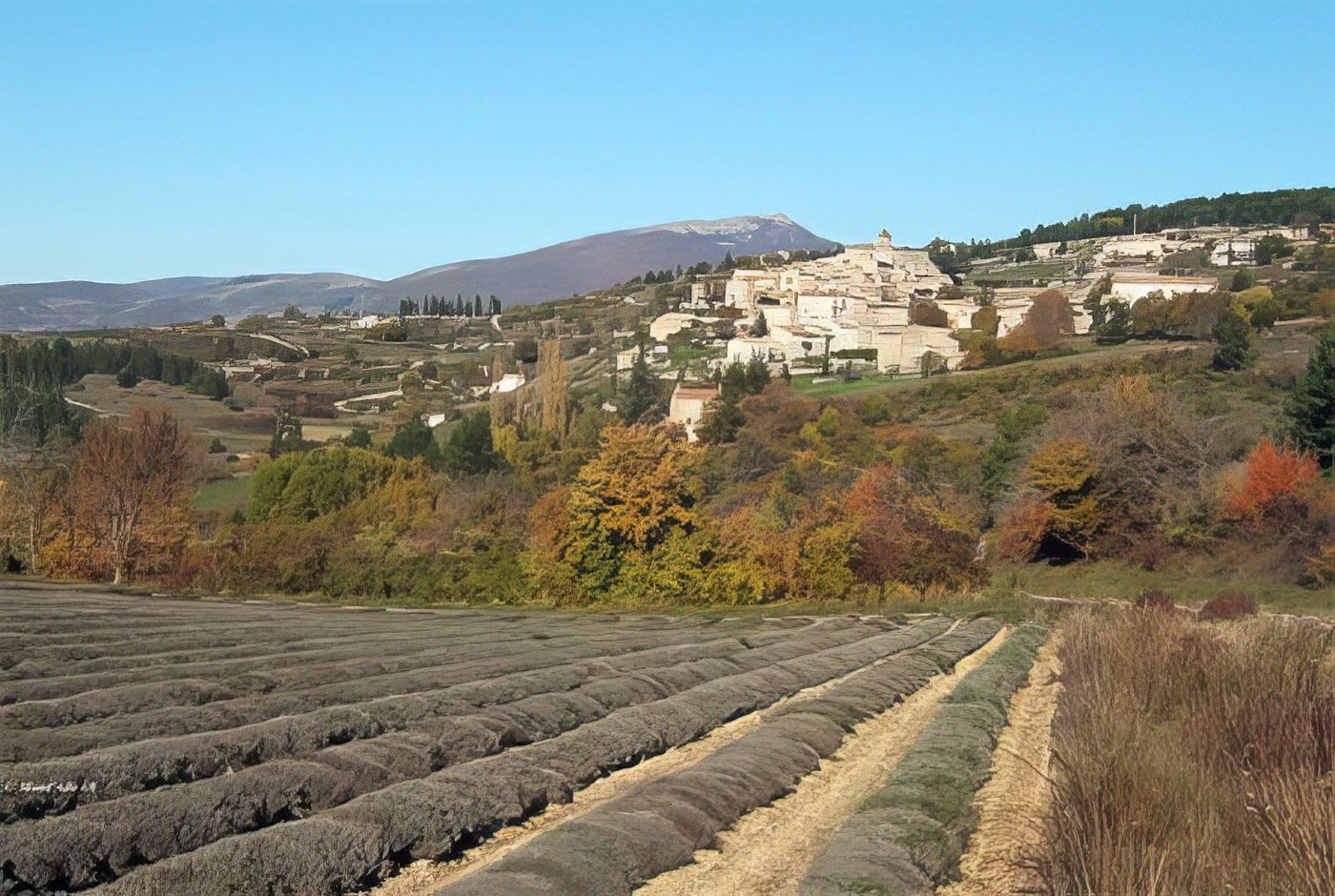 Aurel (84) et Montagne du Buc