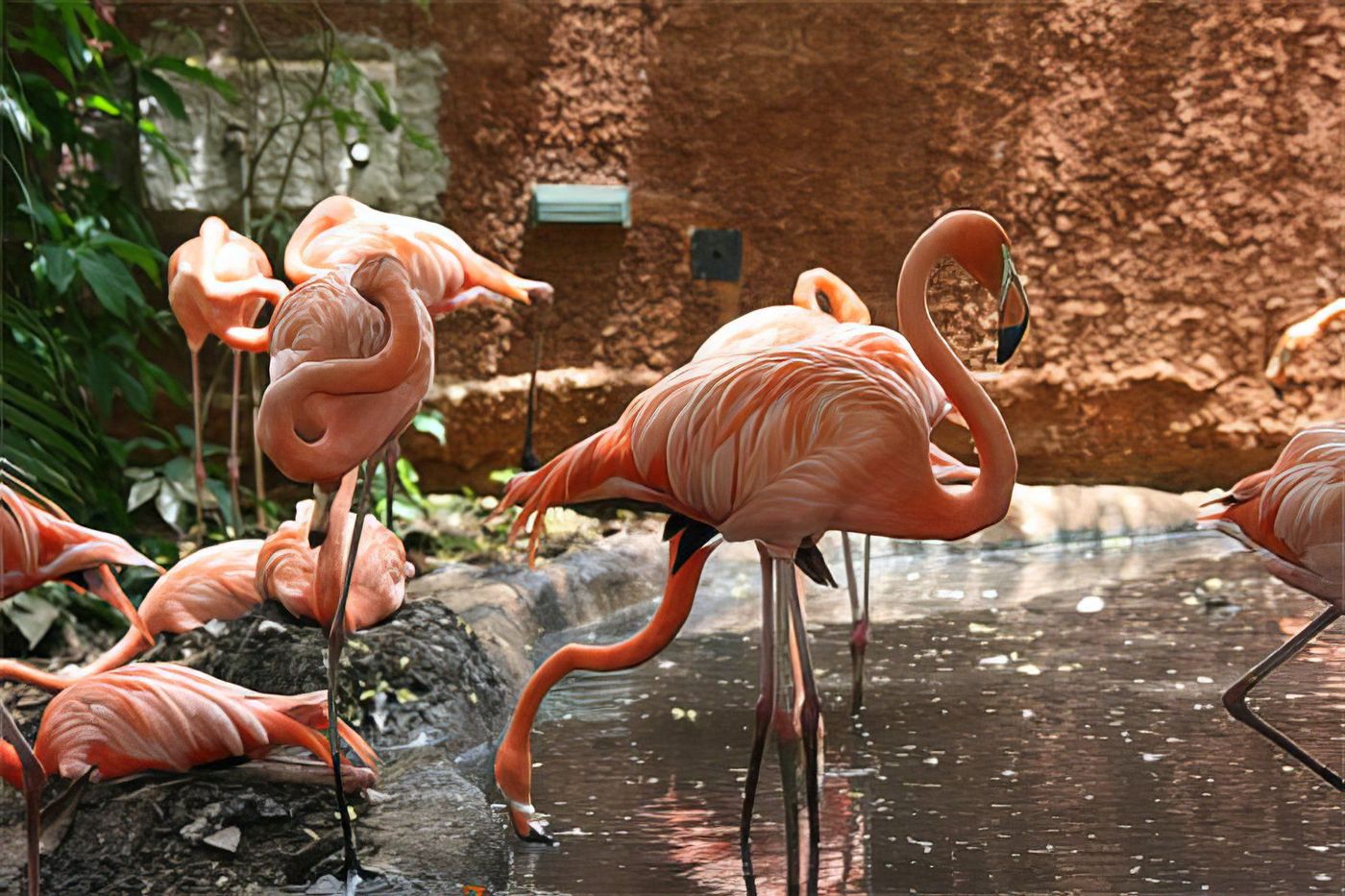 Le parc zoologique de Mérida