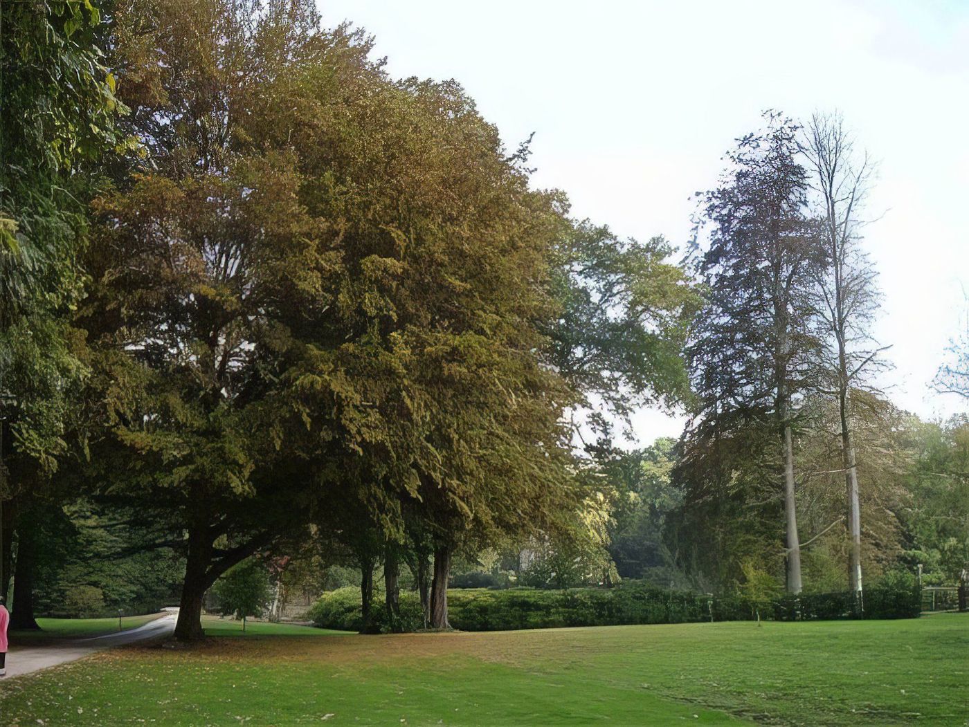 Arboretum de St Sulpice de Favières