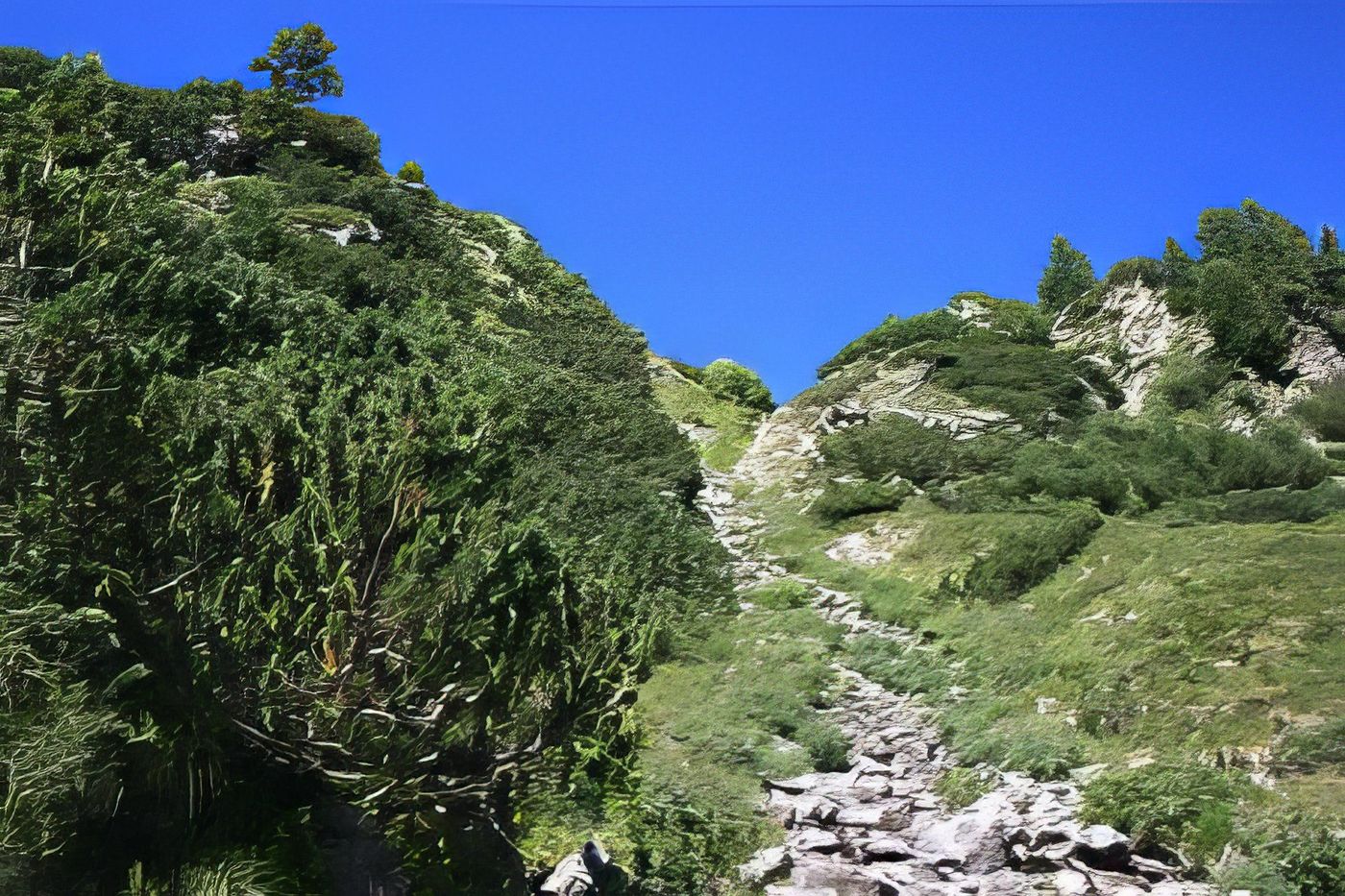 Parc national du Pirin