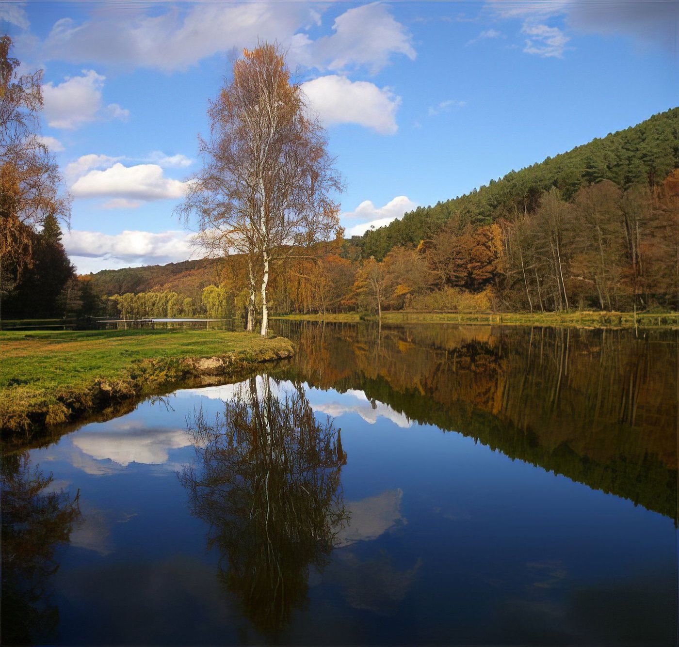 Parc naturel régional des Vosges du Nord