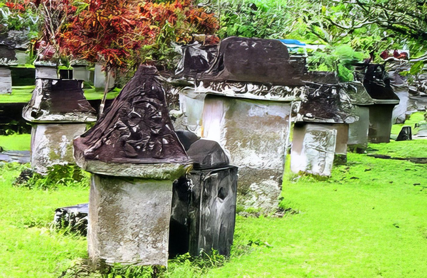 Tombes à Manado