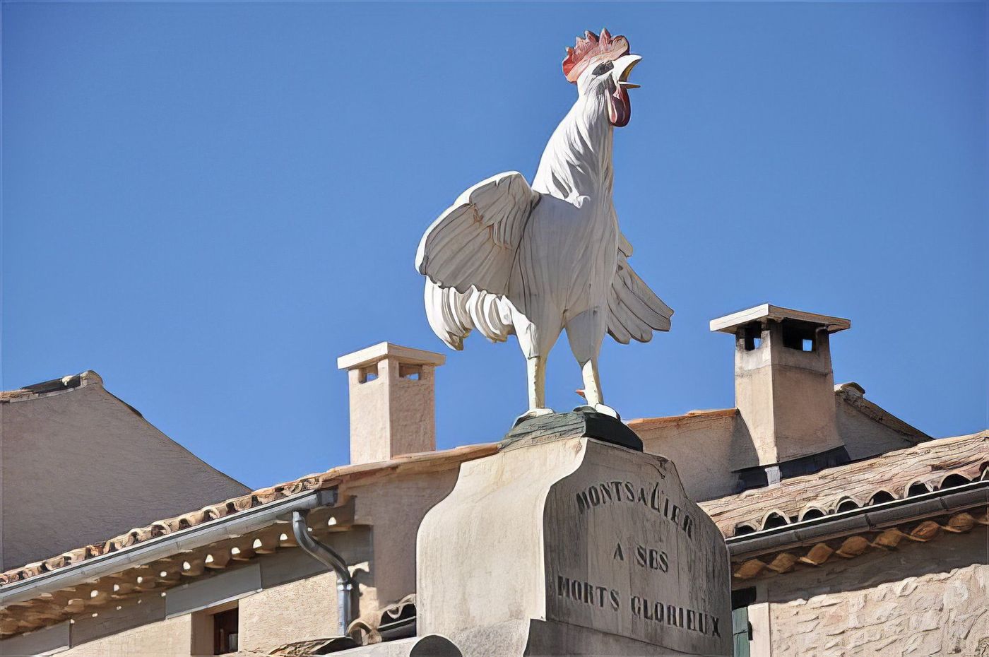 Le coq de Montsalier