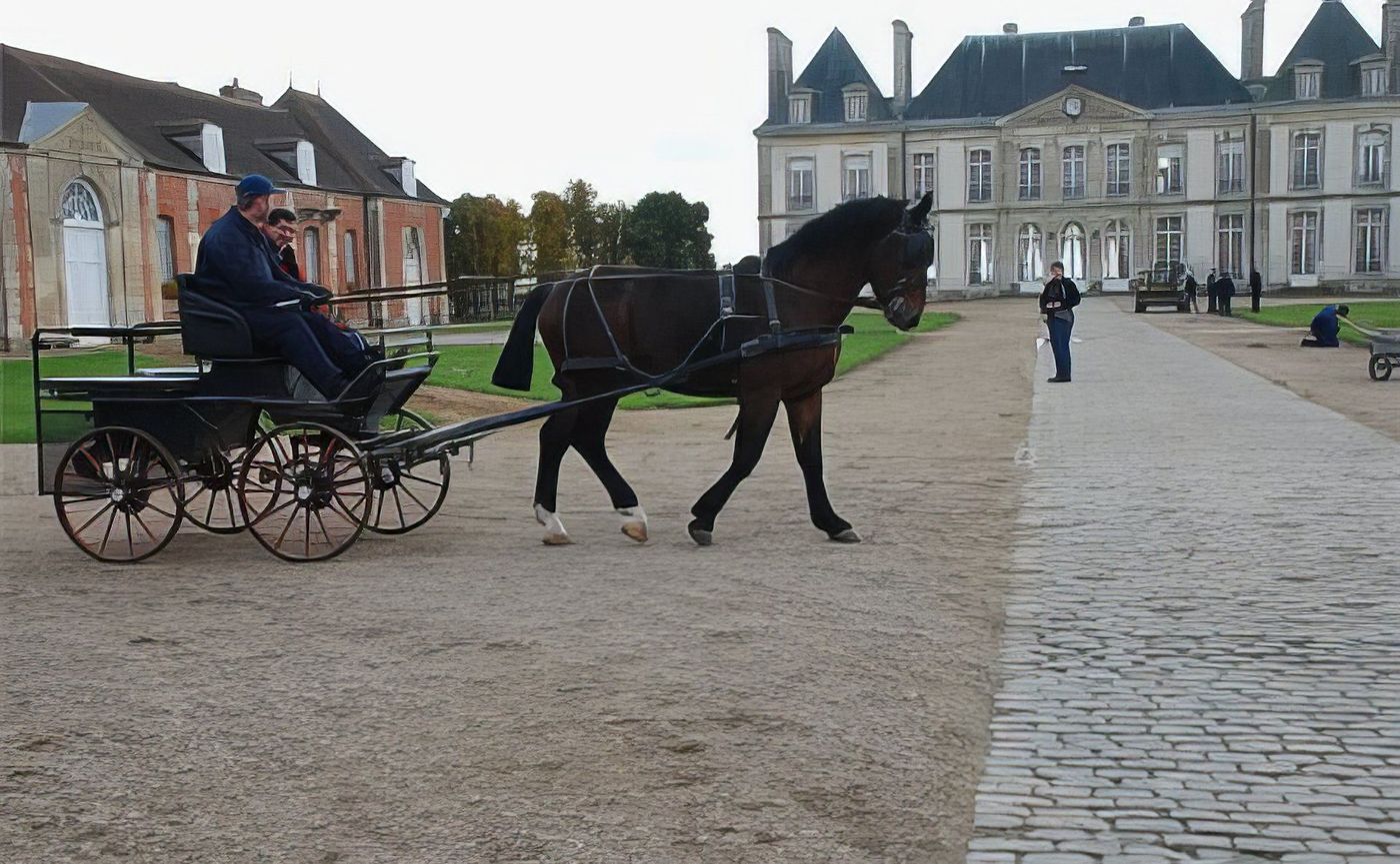 Haras du Pin