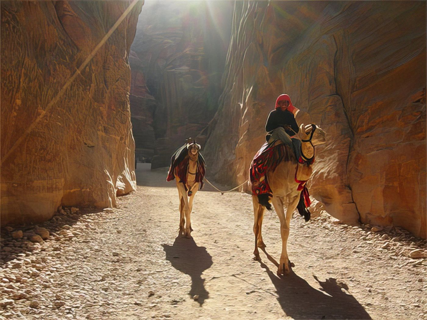 Chamelier à Petra