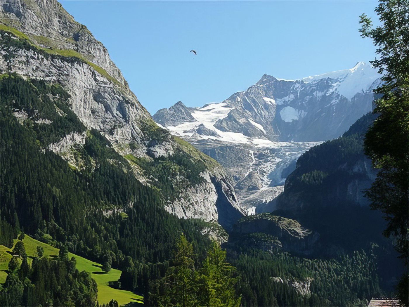 Glacier de Grindelwald