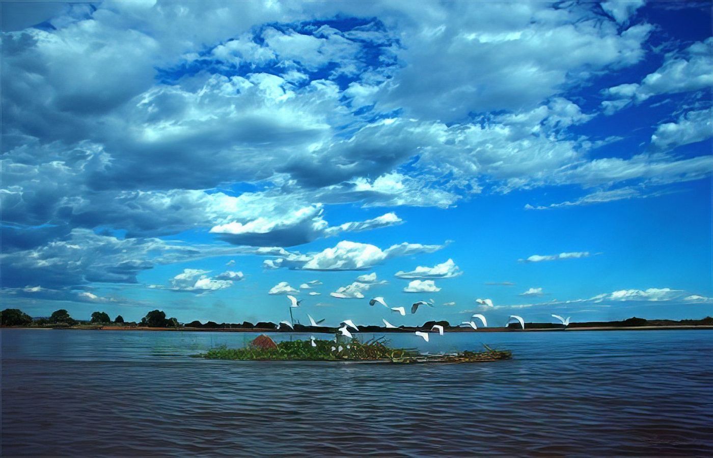 Piroguer sur la rivière Tsiribihina à Madagascar