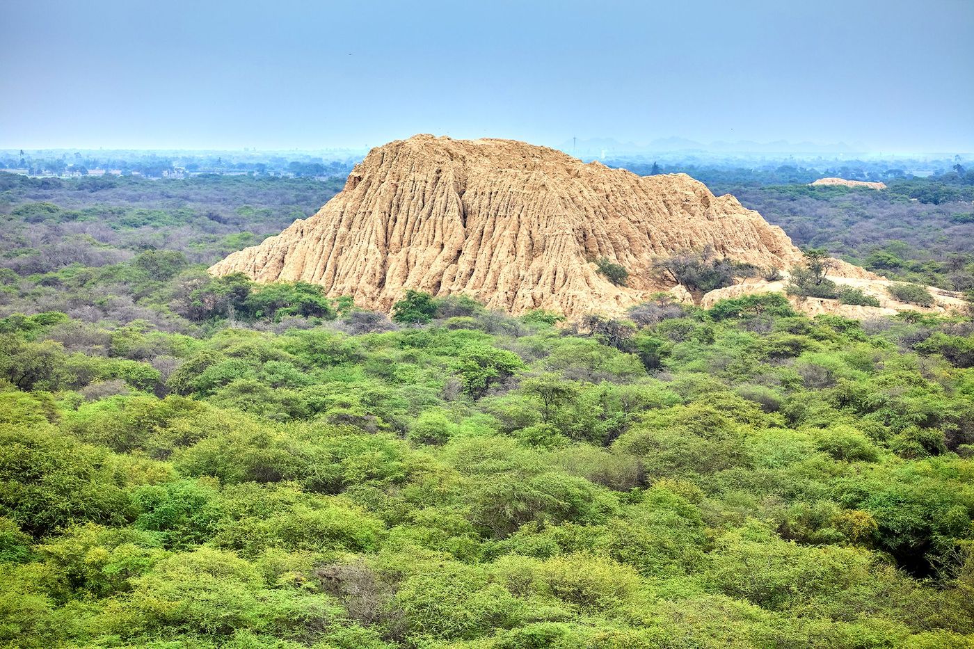 Pyramide - forêt de Pómac