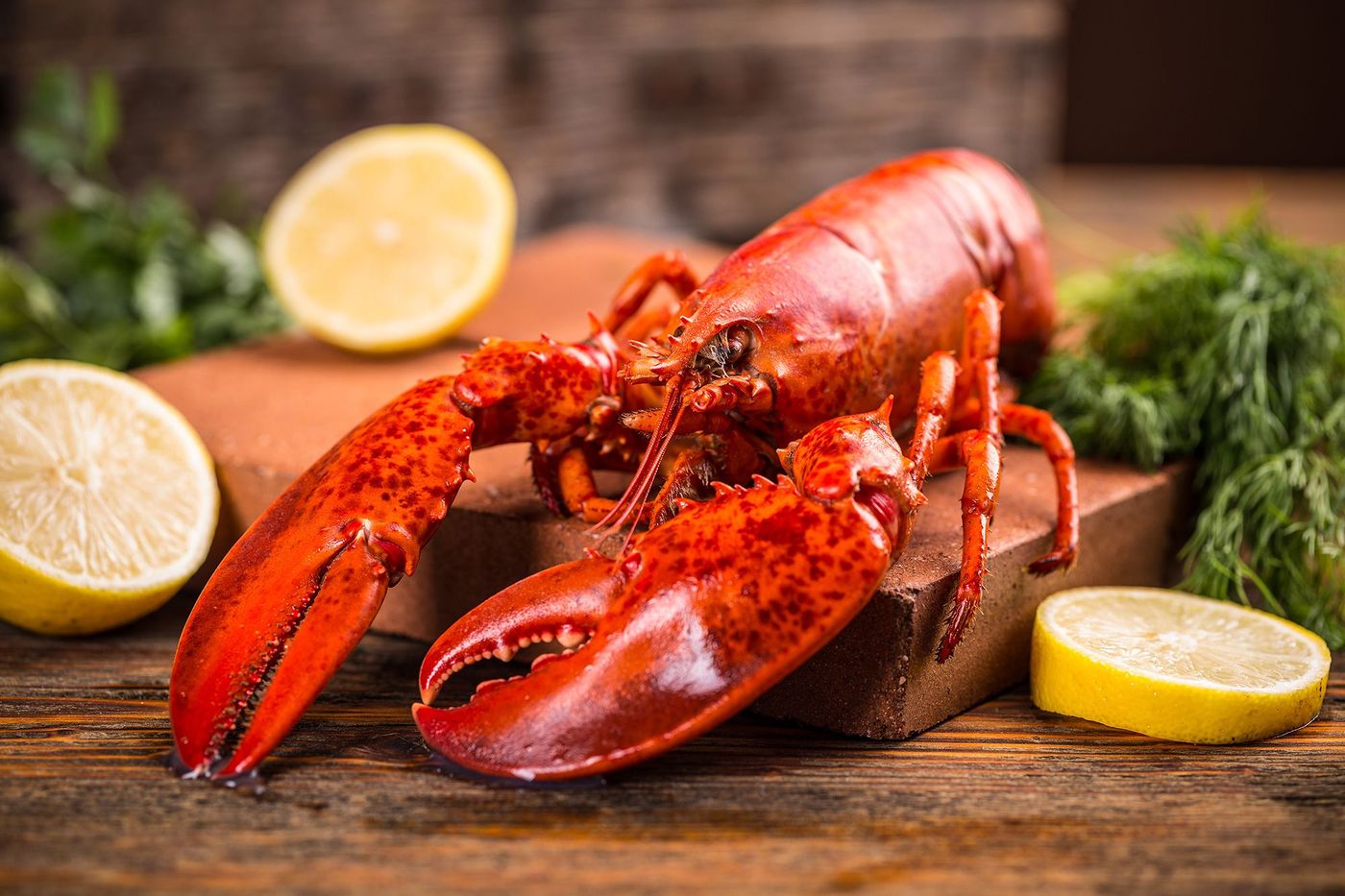 Québec Homard