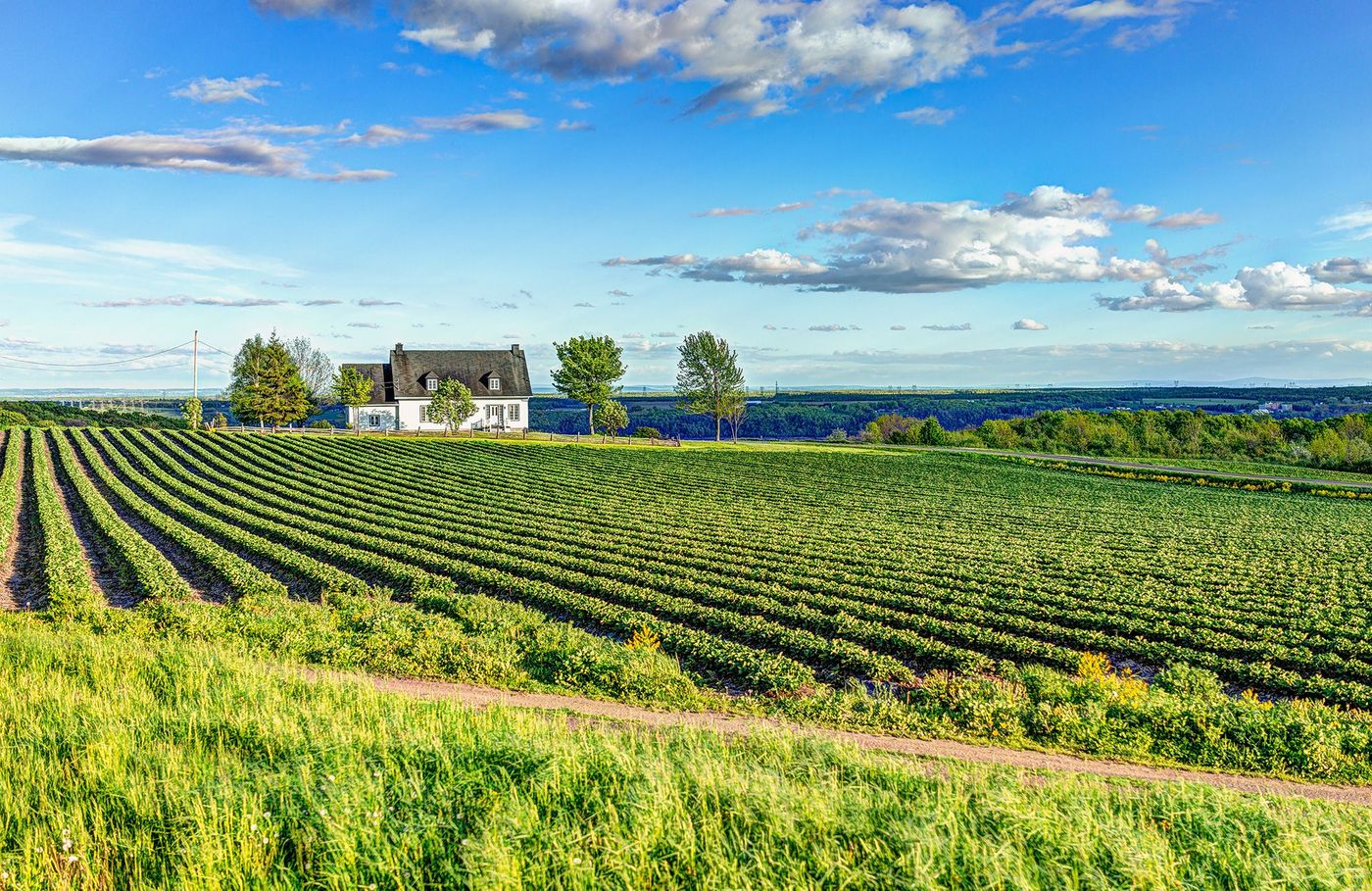 Québec Île d'Orléans