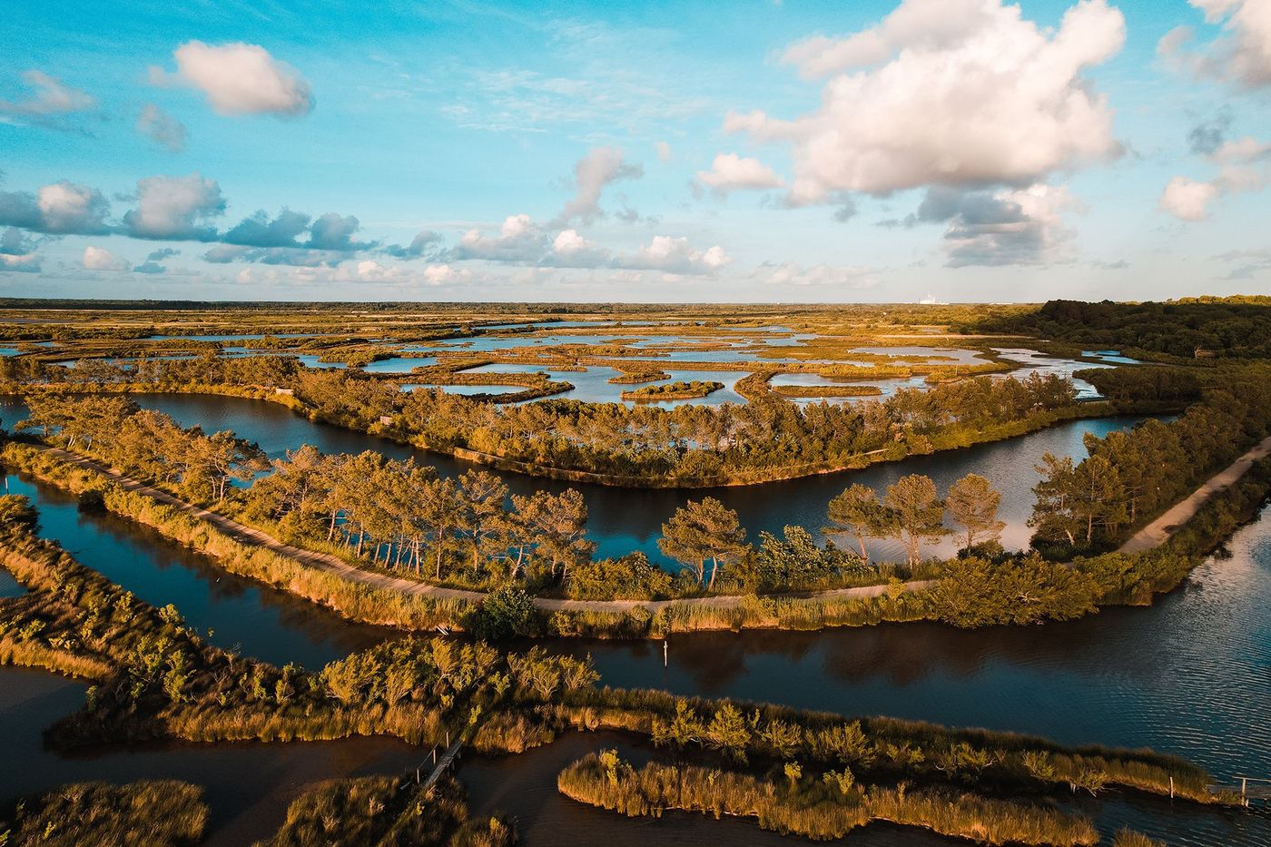 réserve ornithologique du Teich